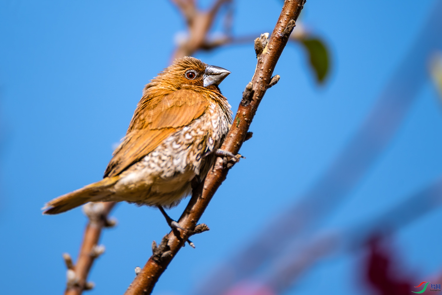 DSC_3574.jpg