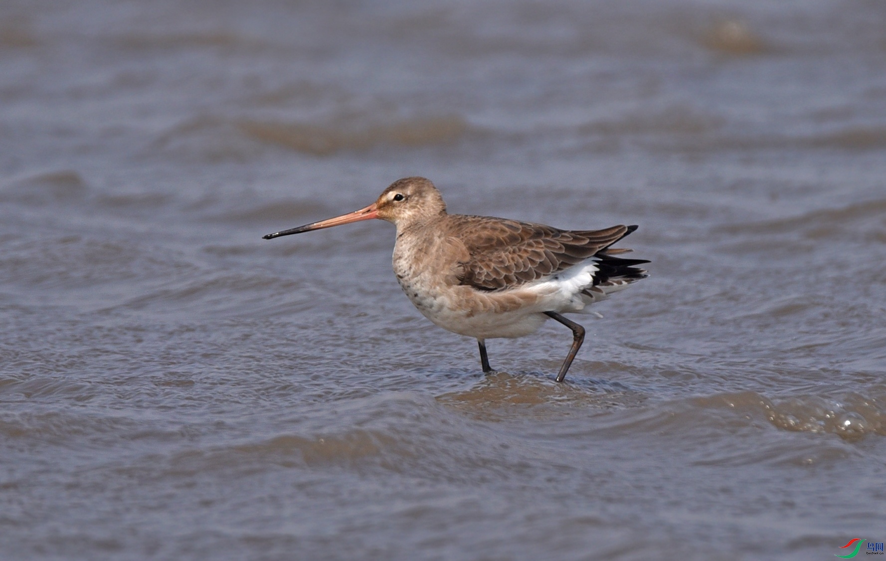 DSC_3266 ��������.jpg