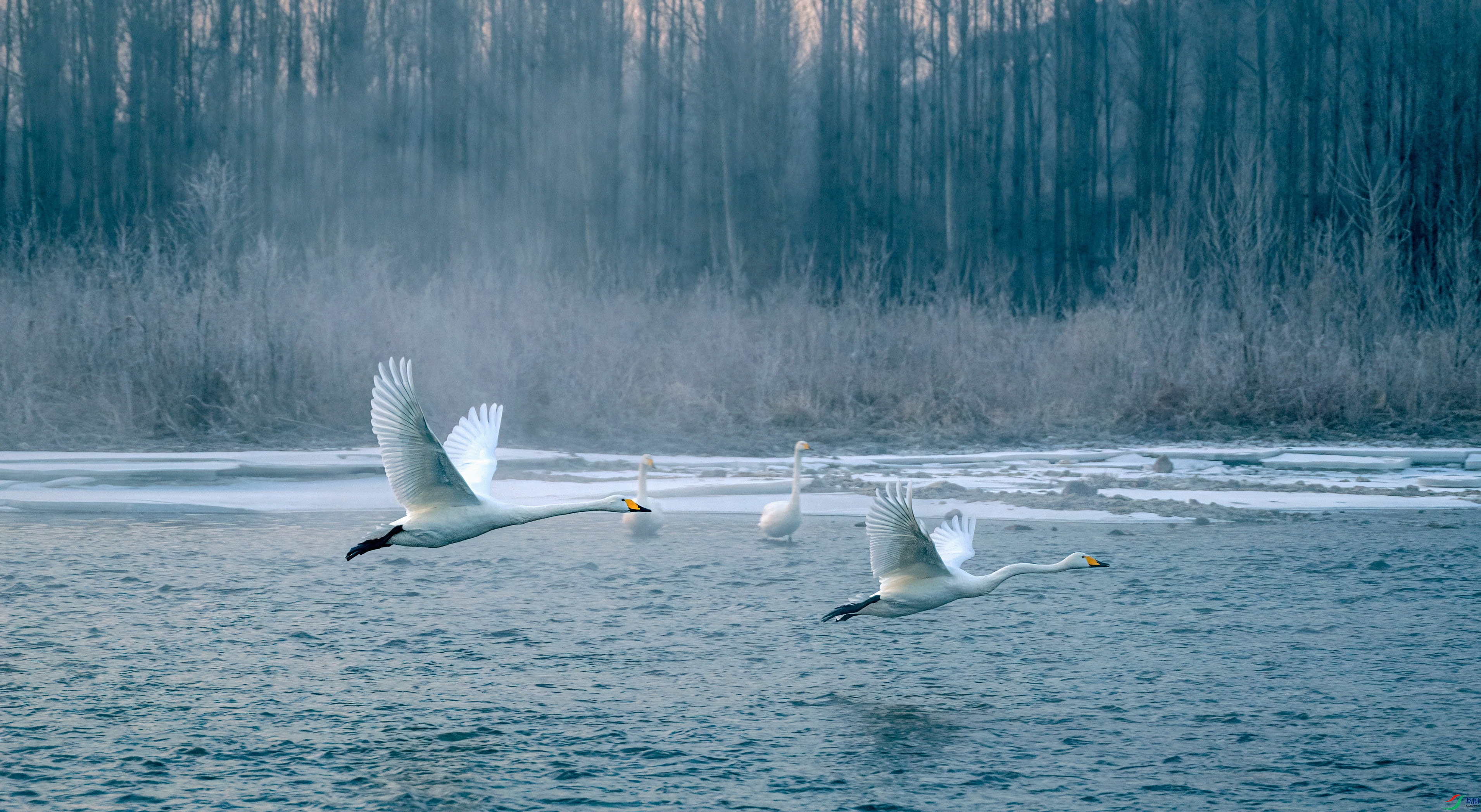 _DSC1232==1w.jpg