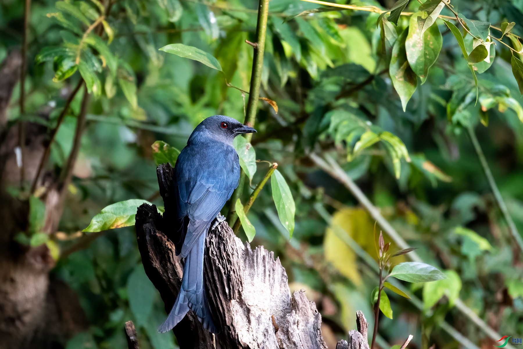 _P2B10265.jpg