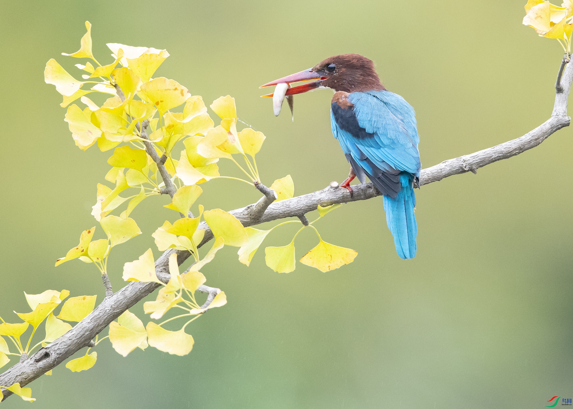 7577 ����.jpg