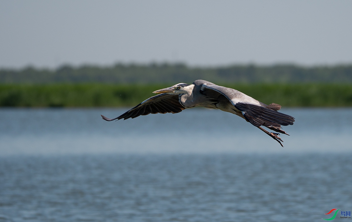20210623 (233).jpg