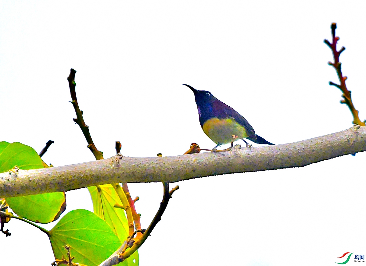 DSC_3885.JPG