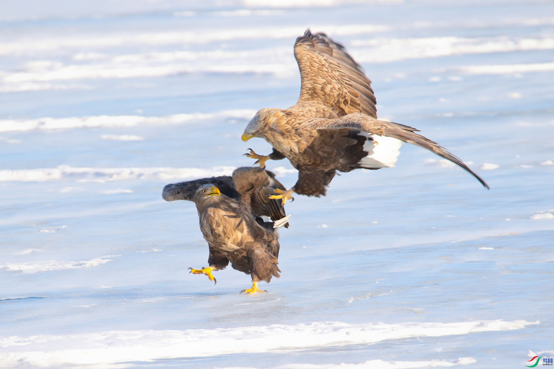 IMG_4783-2-2.jpg