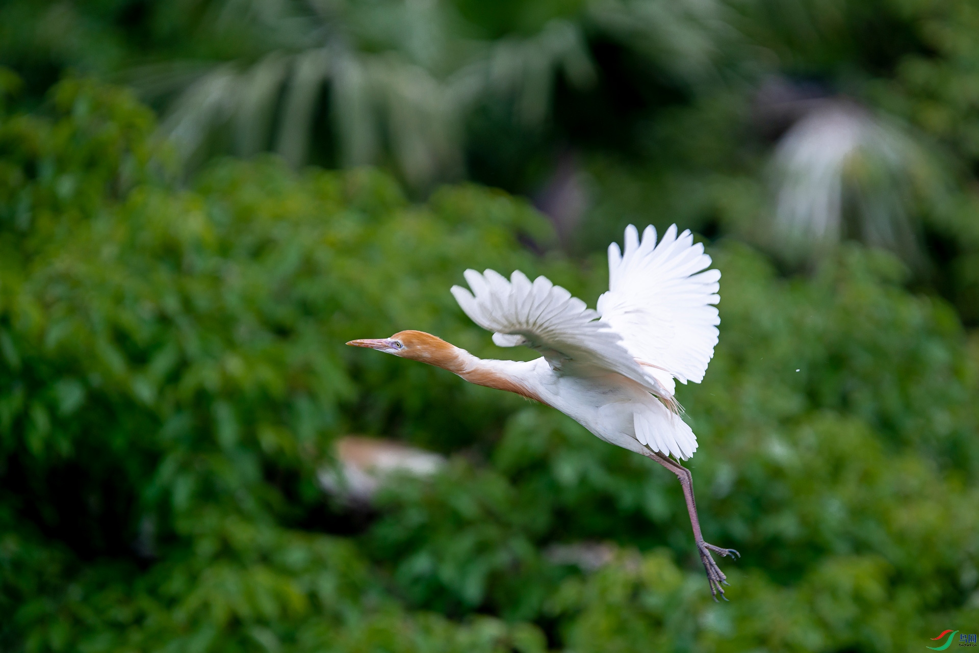 DSC_5959.jpg