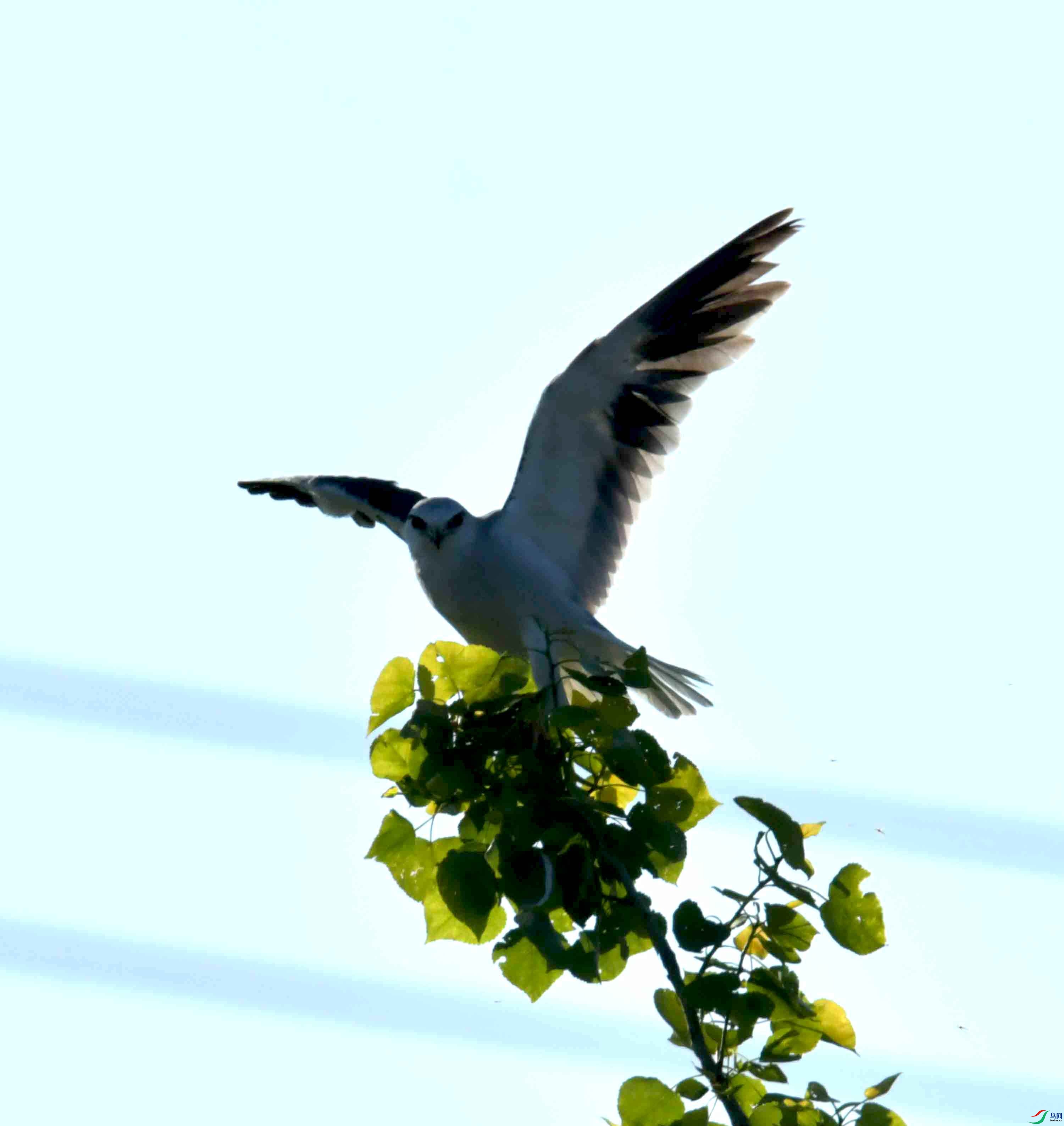 DSC_0719.JPG