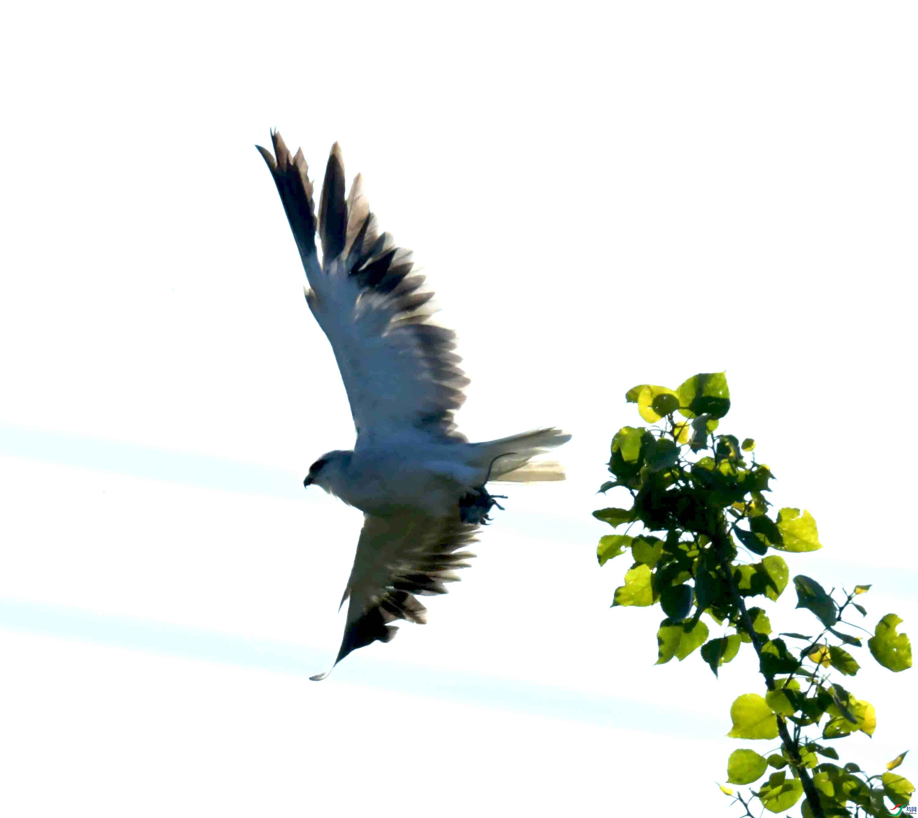 DSC_0728.JPG