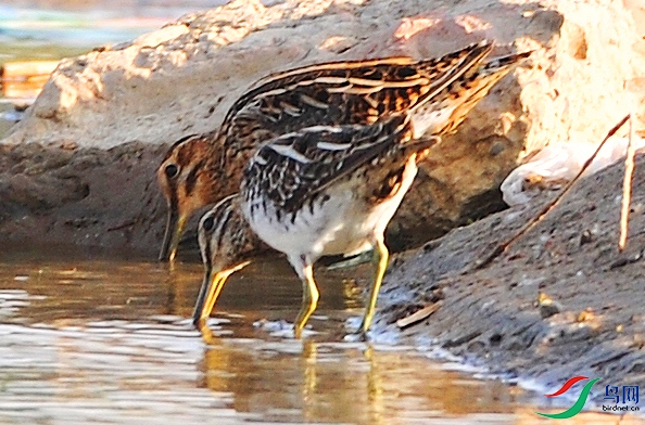 DSC_4335.JPG