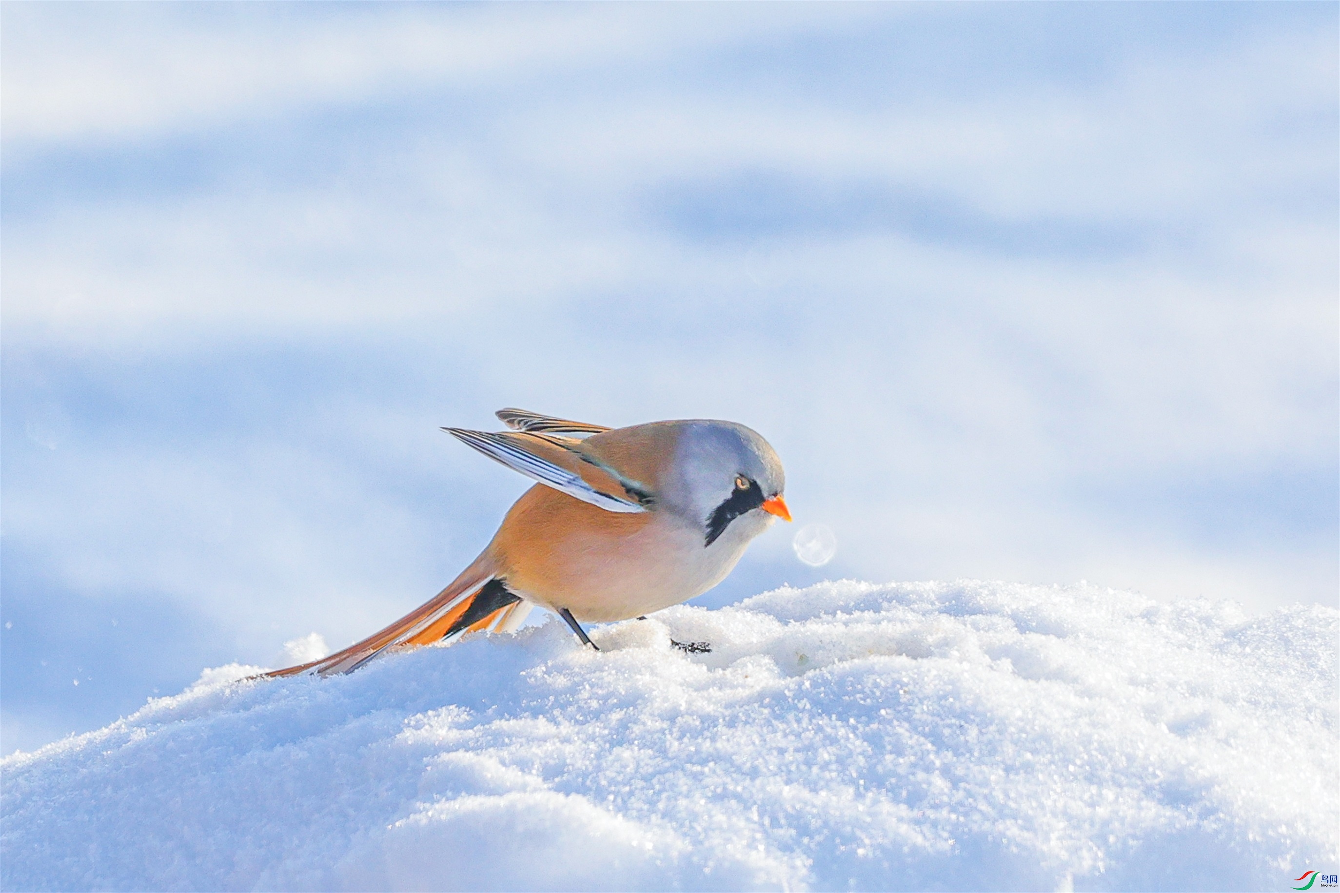 1K3A9925 ����1.jpg