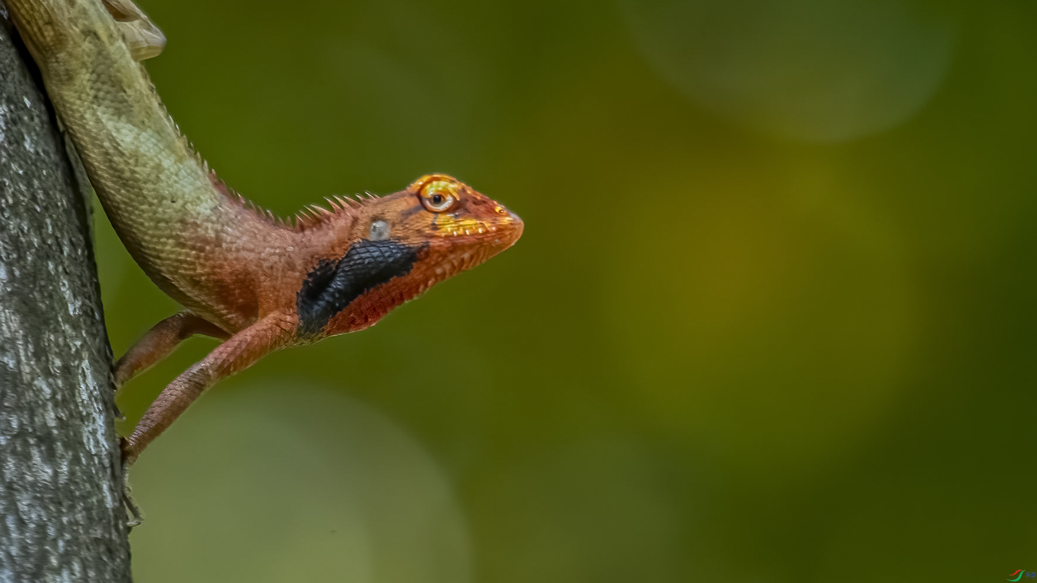 DSC_3543px_1.jpg