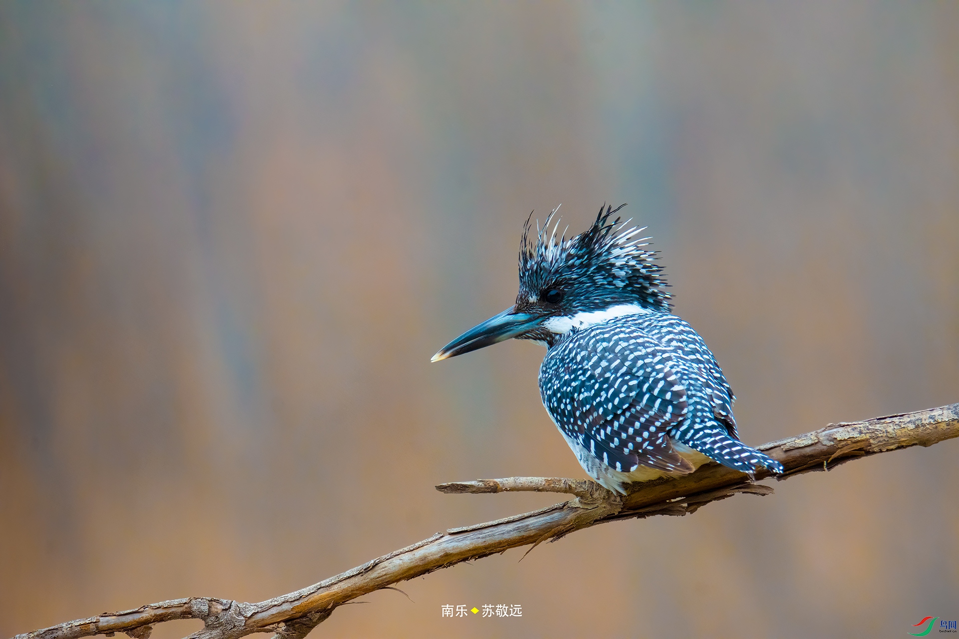 _DSC4358С.jpg