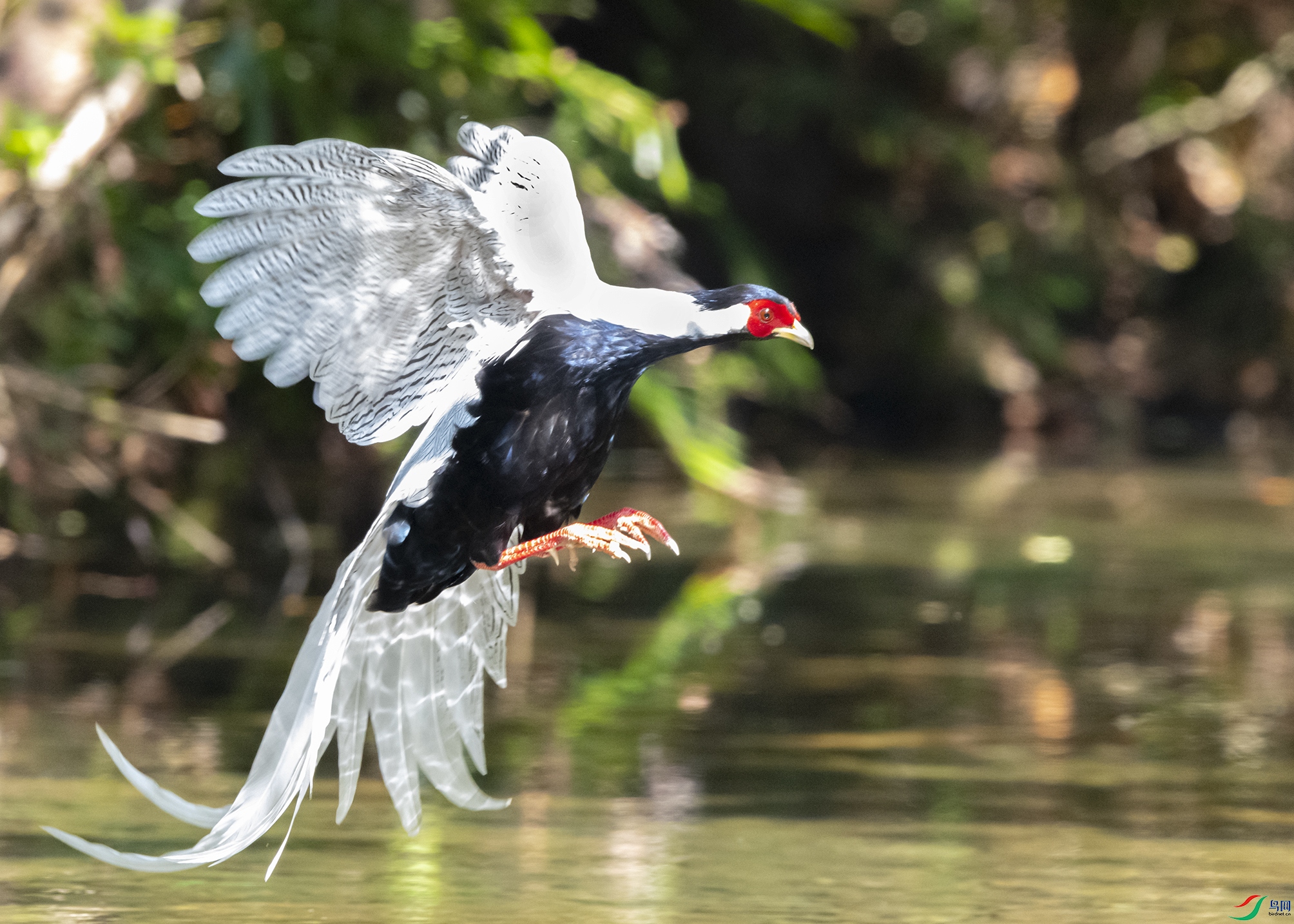 7818 ����.jpg