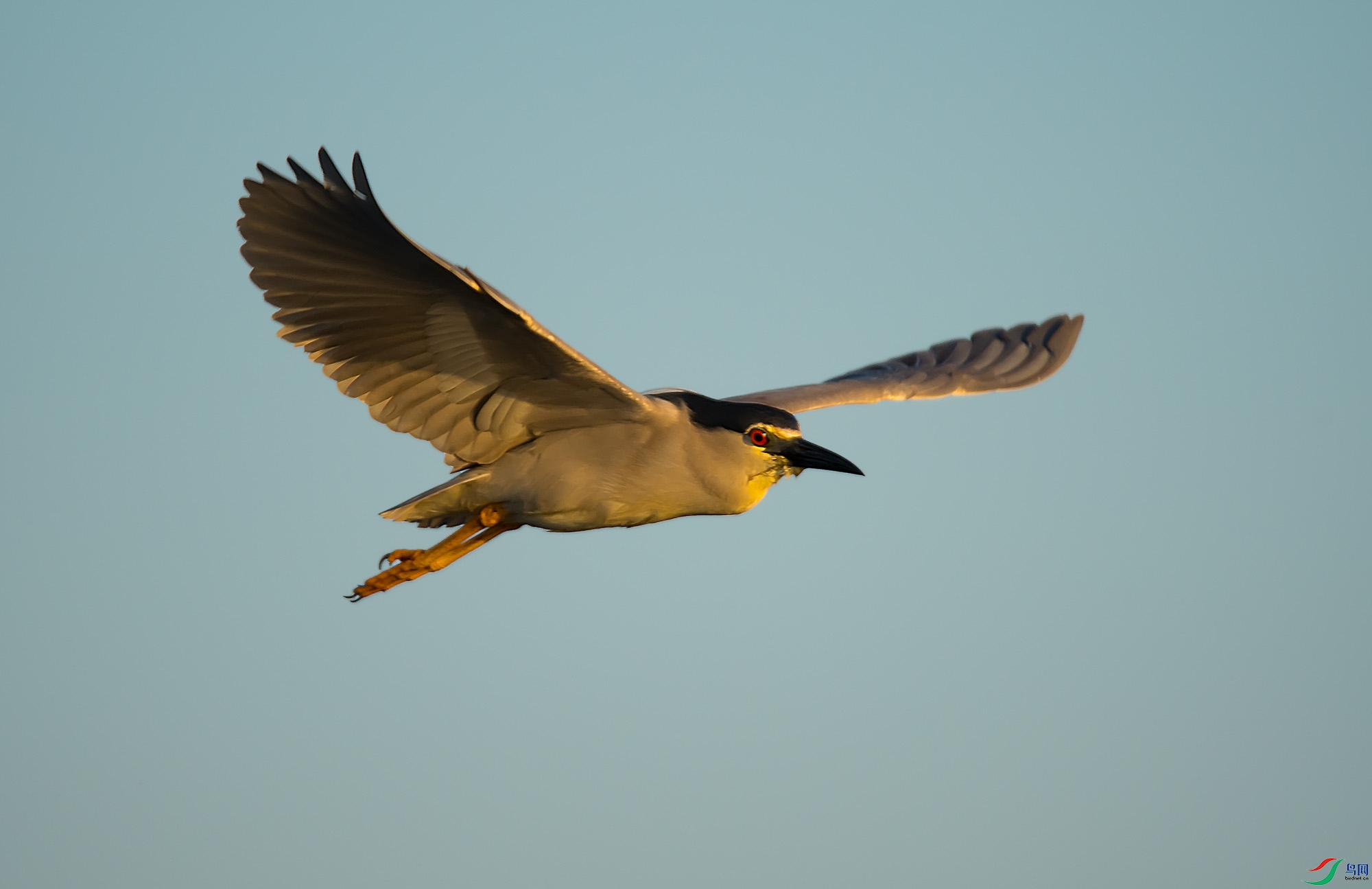 DSC_6778.jpg