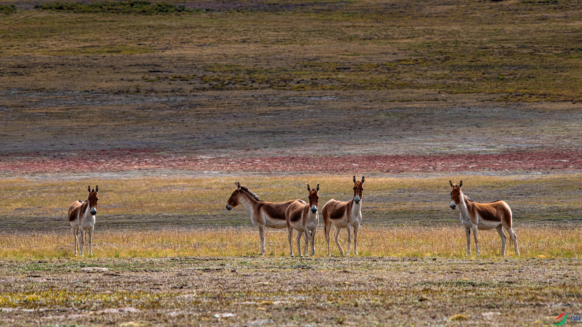 _DSC2205_����.jpg