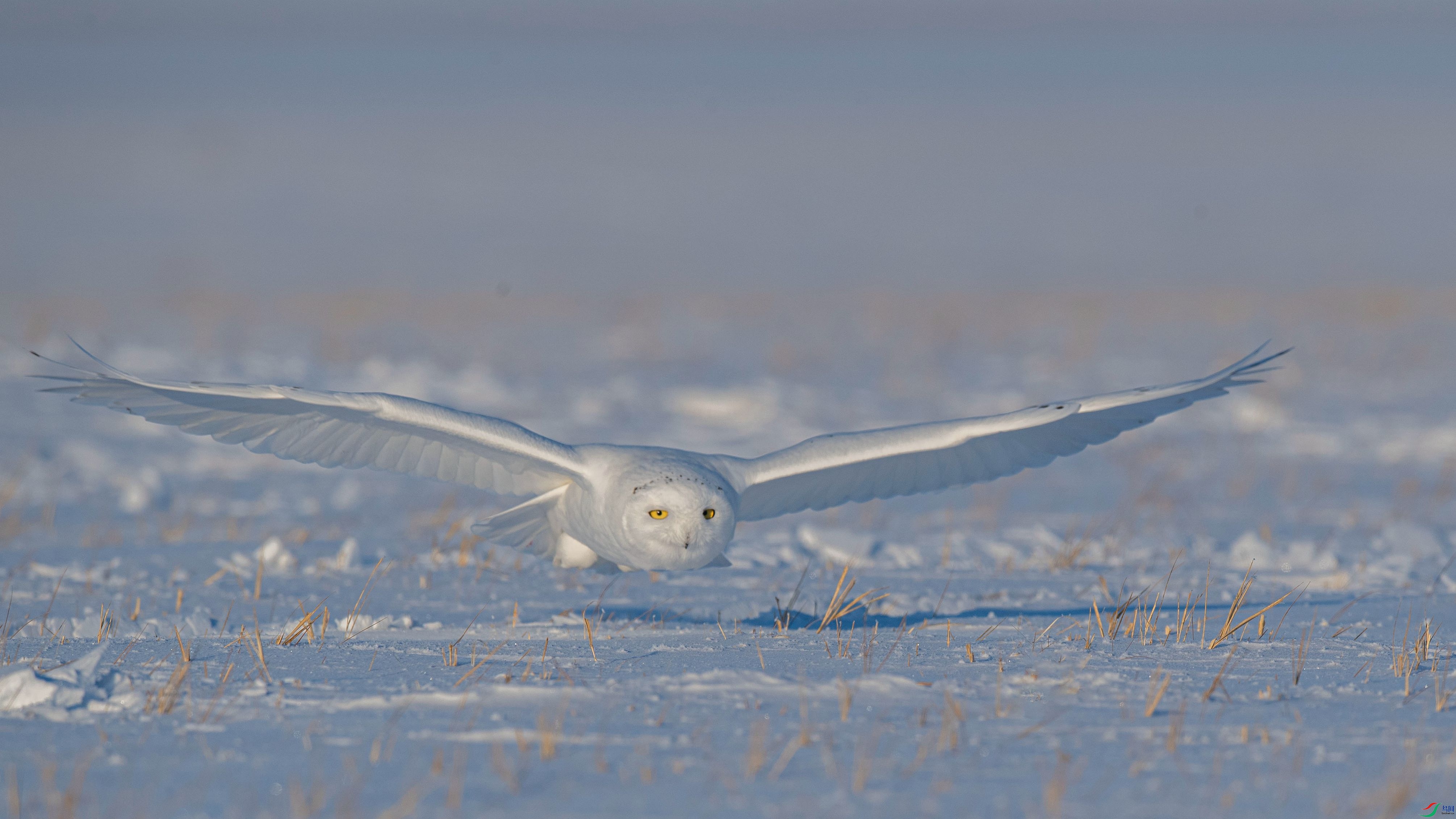 _DSC6382_����_����.jpg