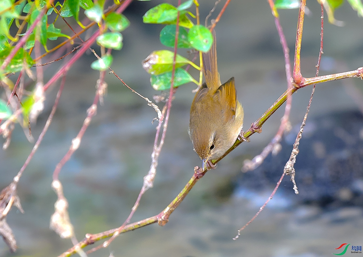 DSC_7671.JPG