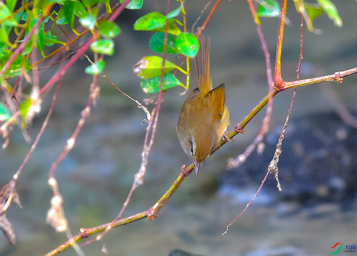 DSC_7672.JPG