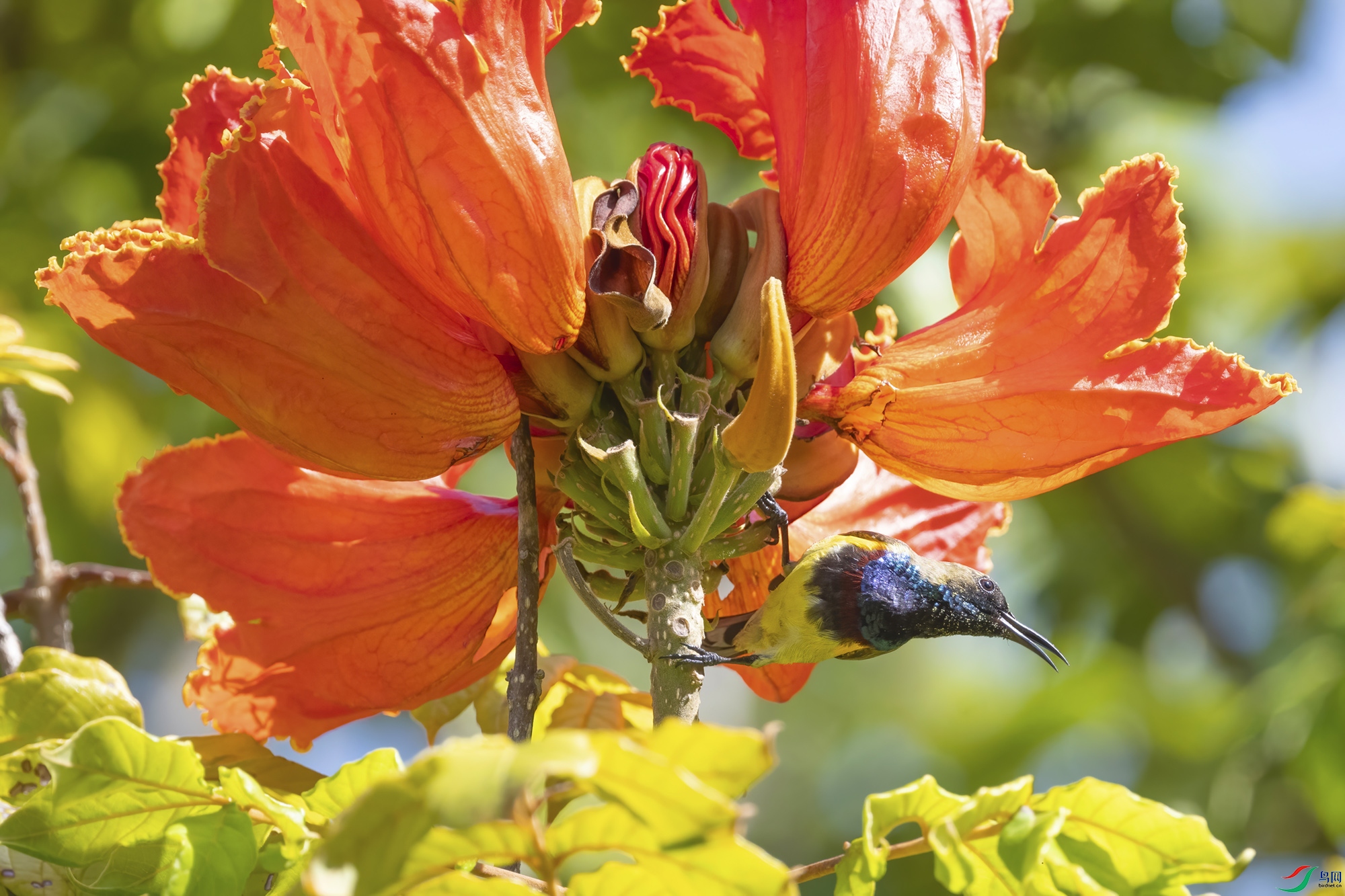 �Ƹ�������