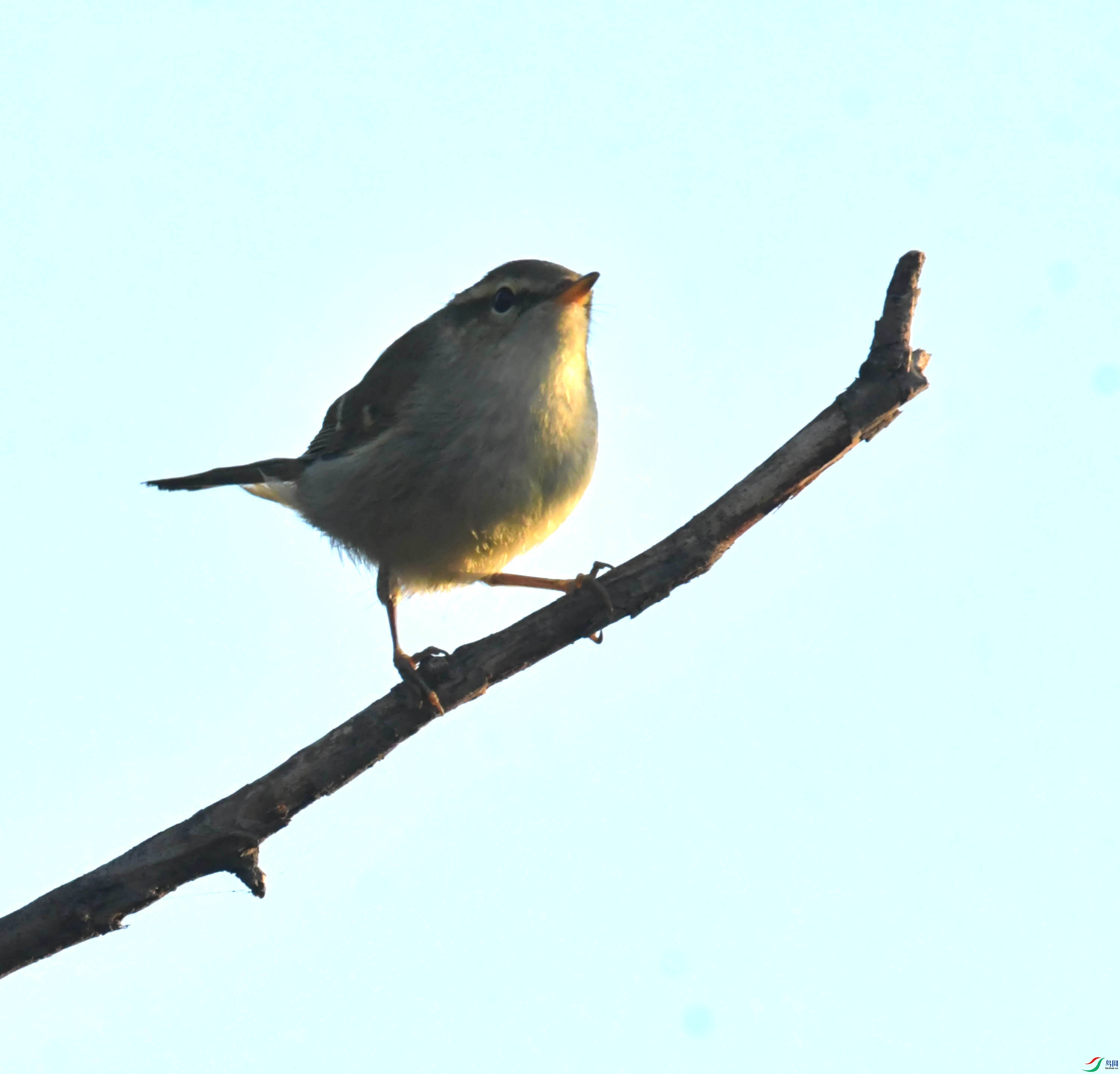 DSC_4425.JPG