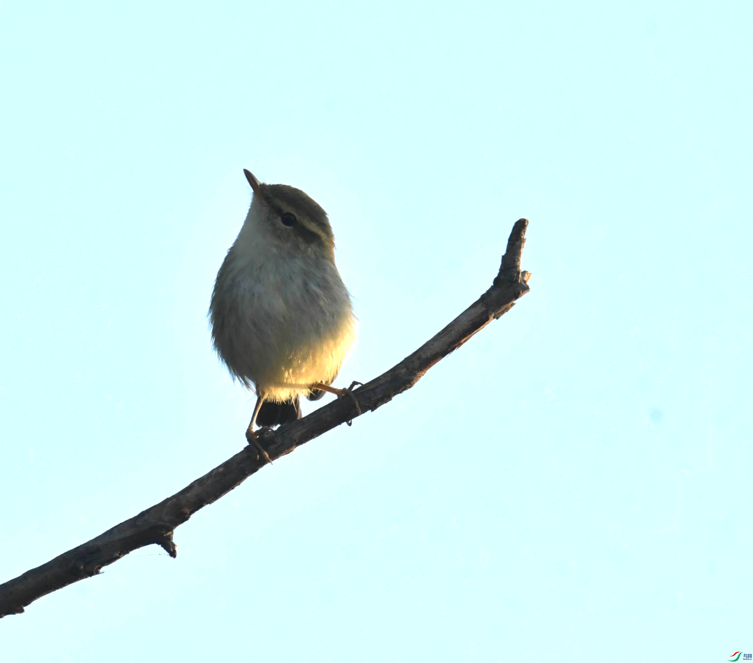 DSC_4432.JPG