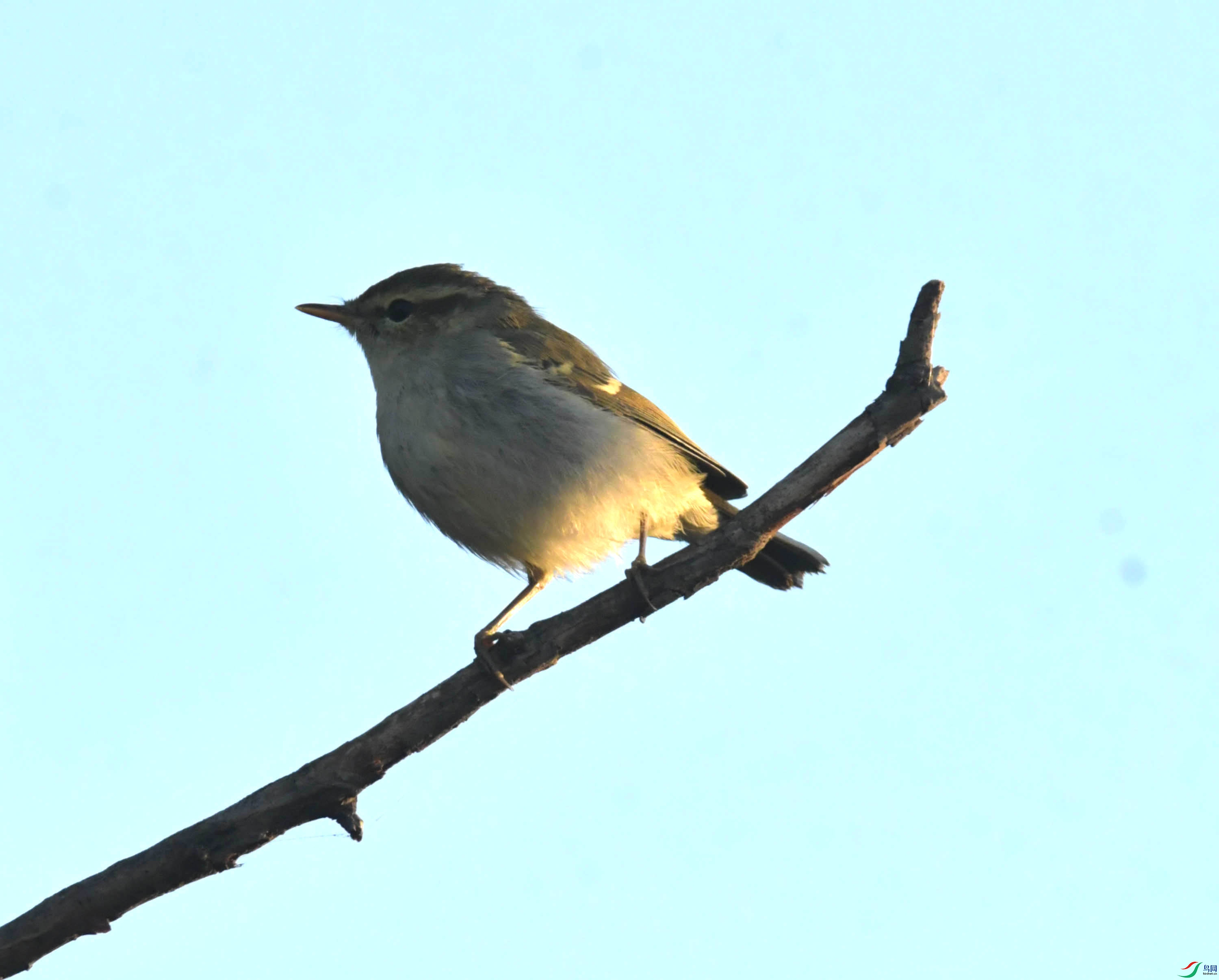 DSC_4440.JPG