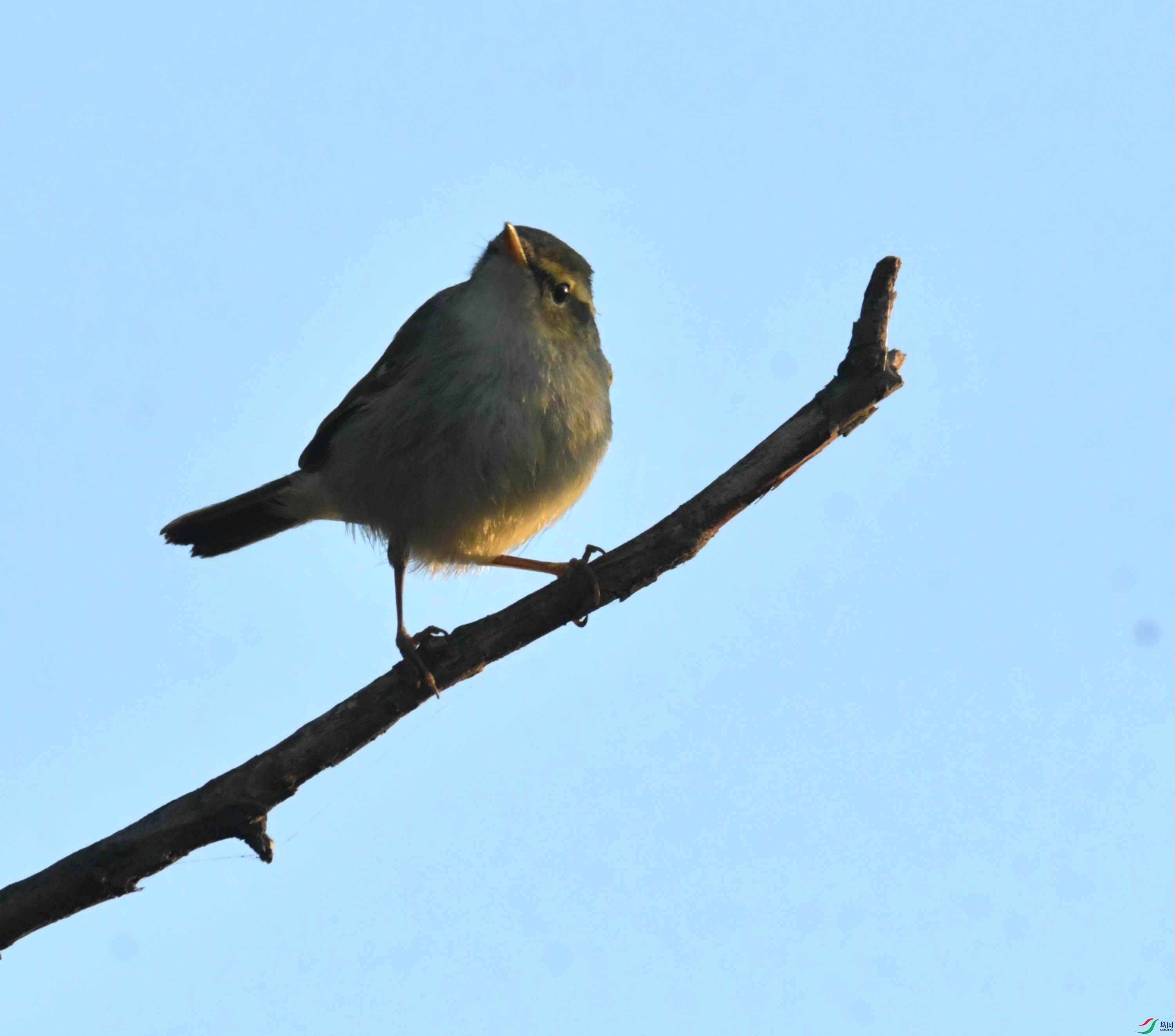 DSC_4428.JPG