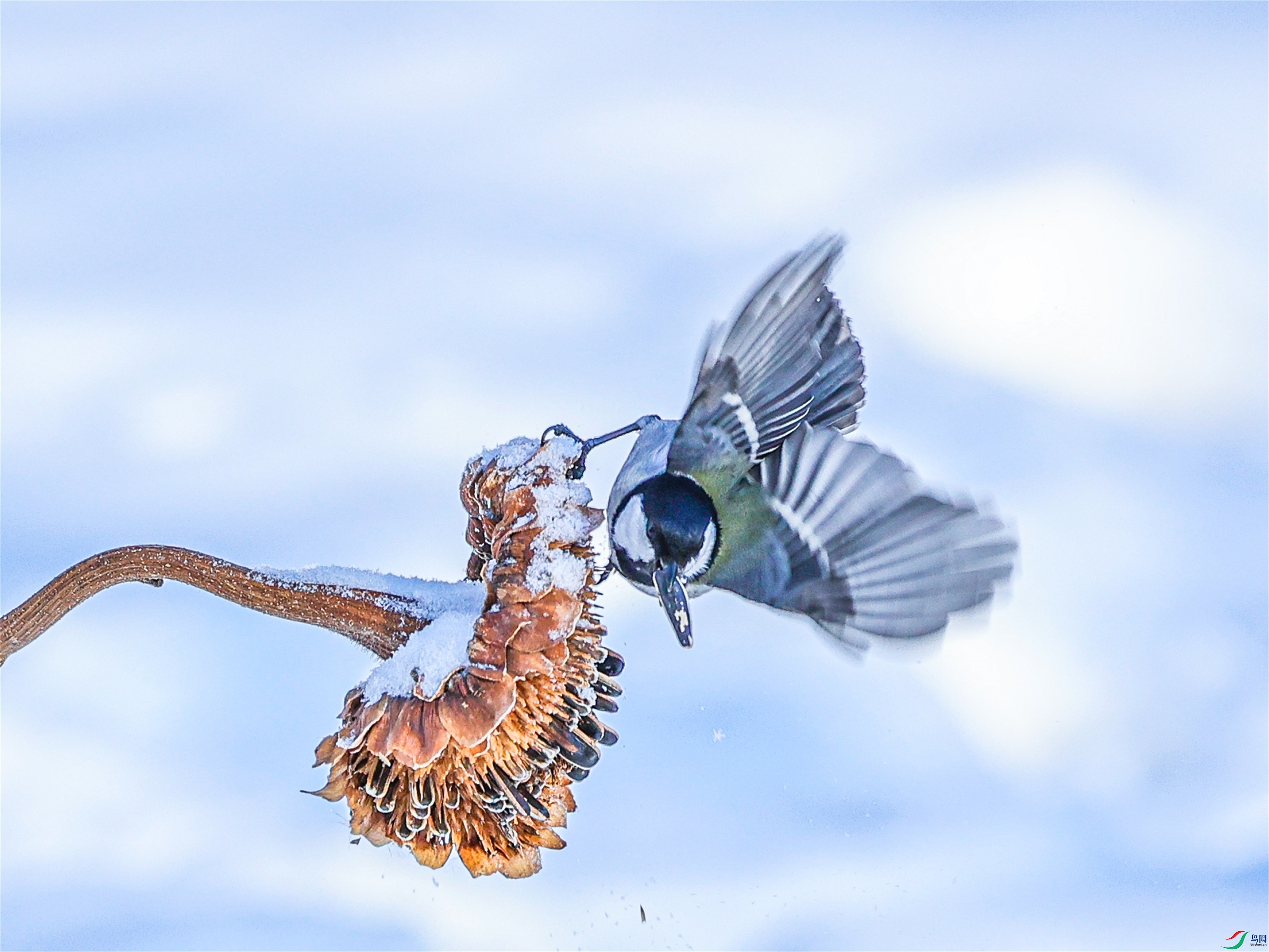 1K3A4610 ����1.jpg