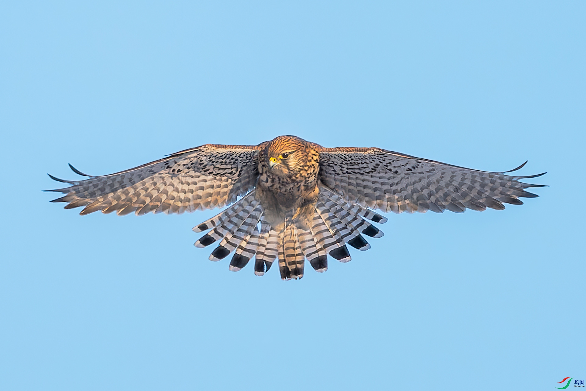 _NAO7938_DxO-gigapixel.jpg