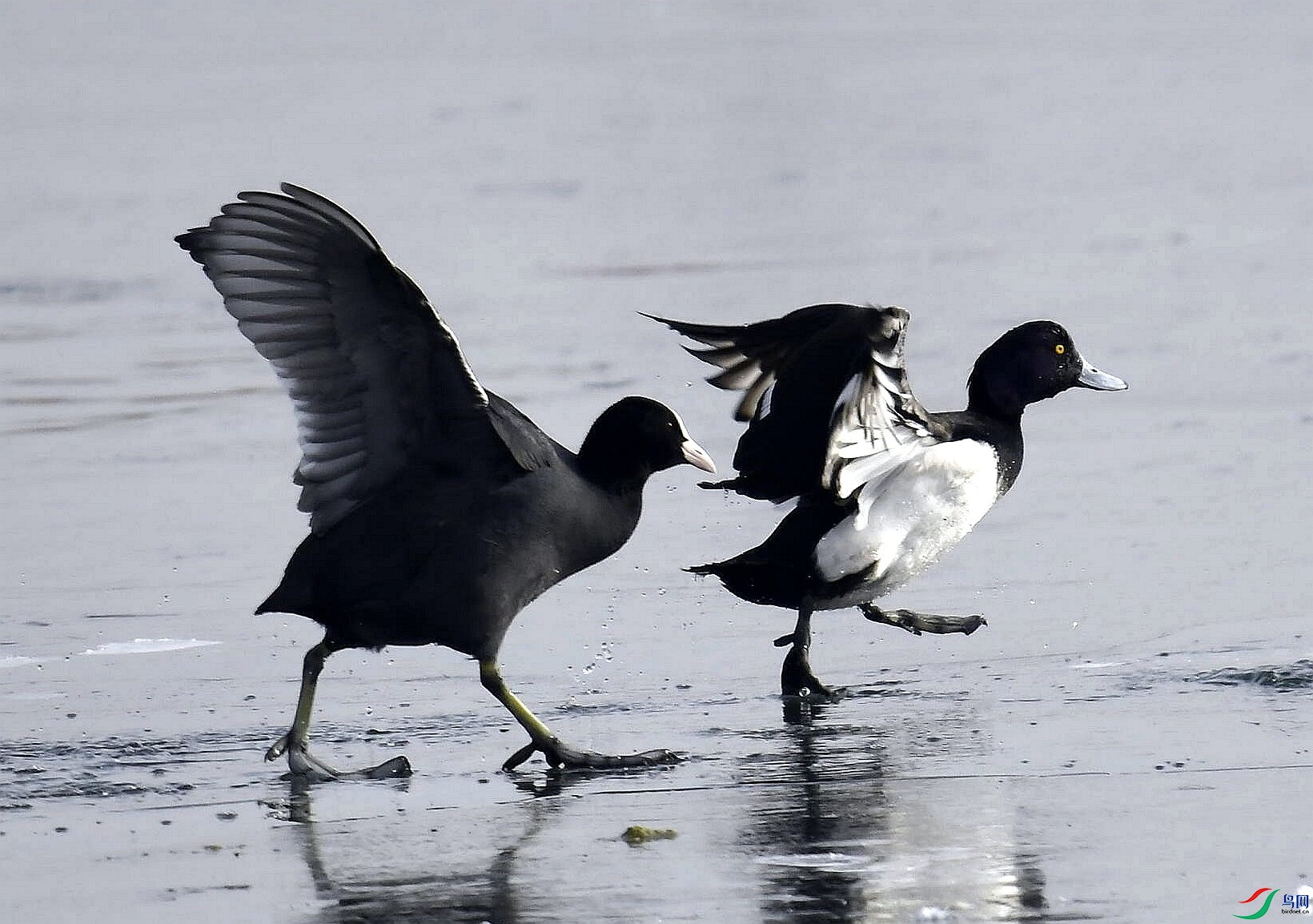 ����20������