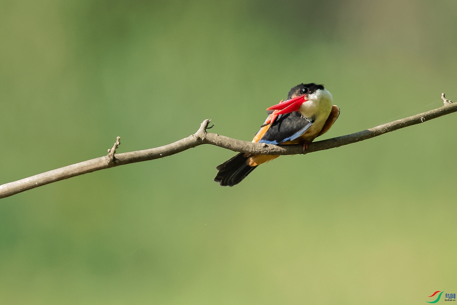 DSC_7638_DxOa3.jpg