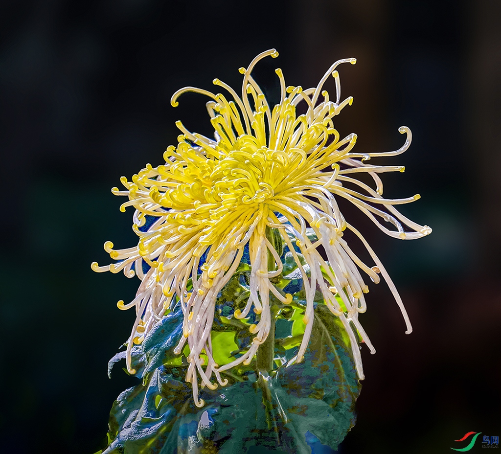 00000IMG_5563�ٳ����� ����.jpg