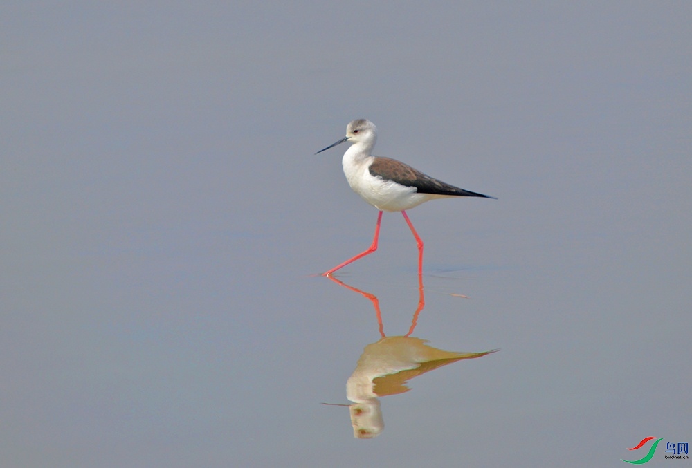 DSC_0698.jpg