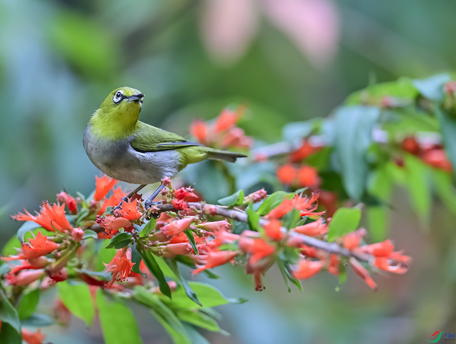 _DSC8649_1360.jpg