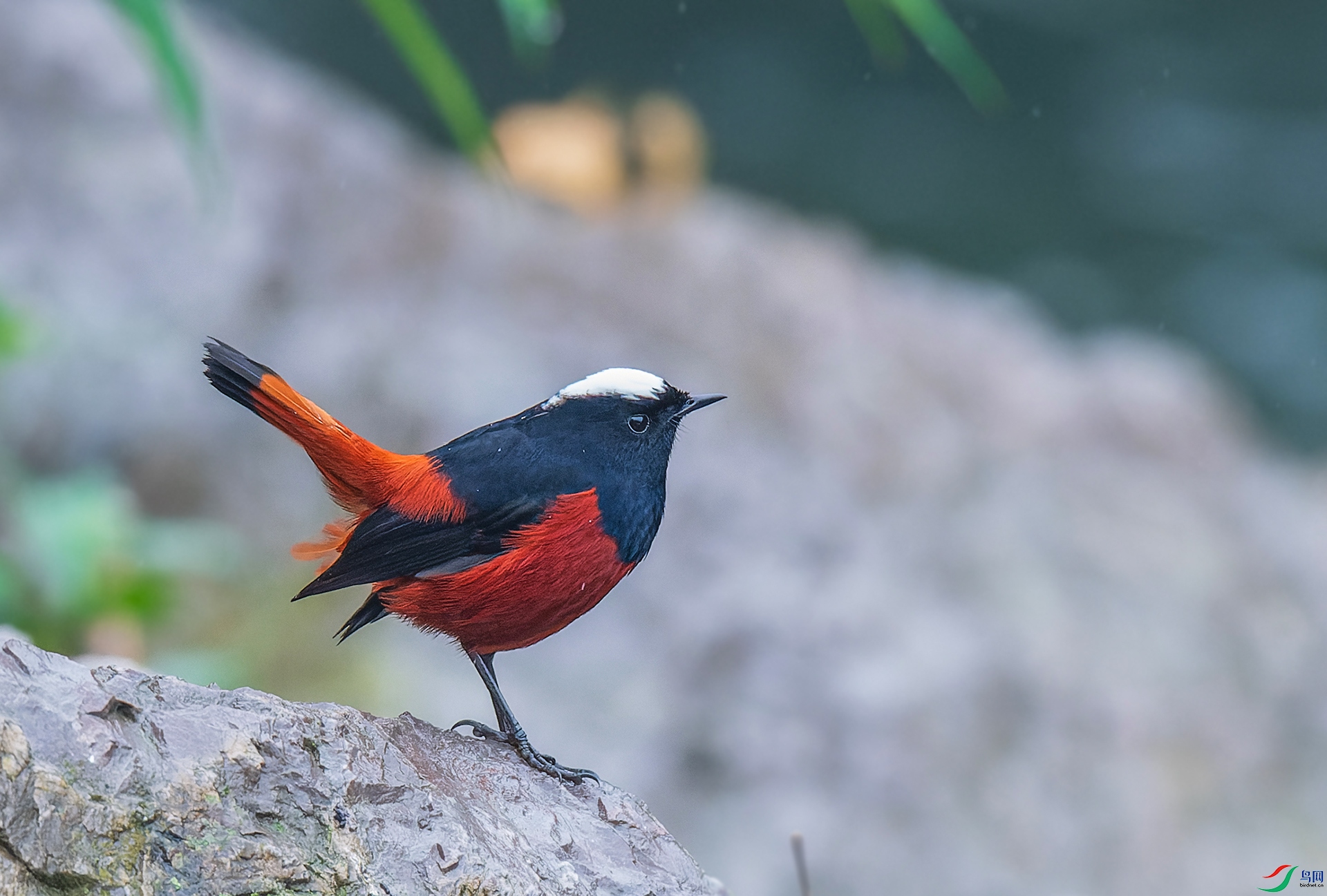 DSC_4998-NEF ����.jpg