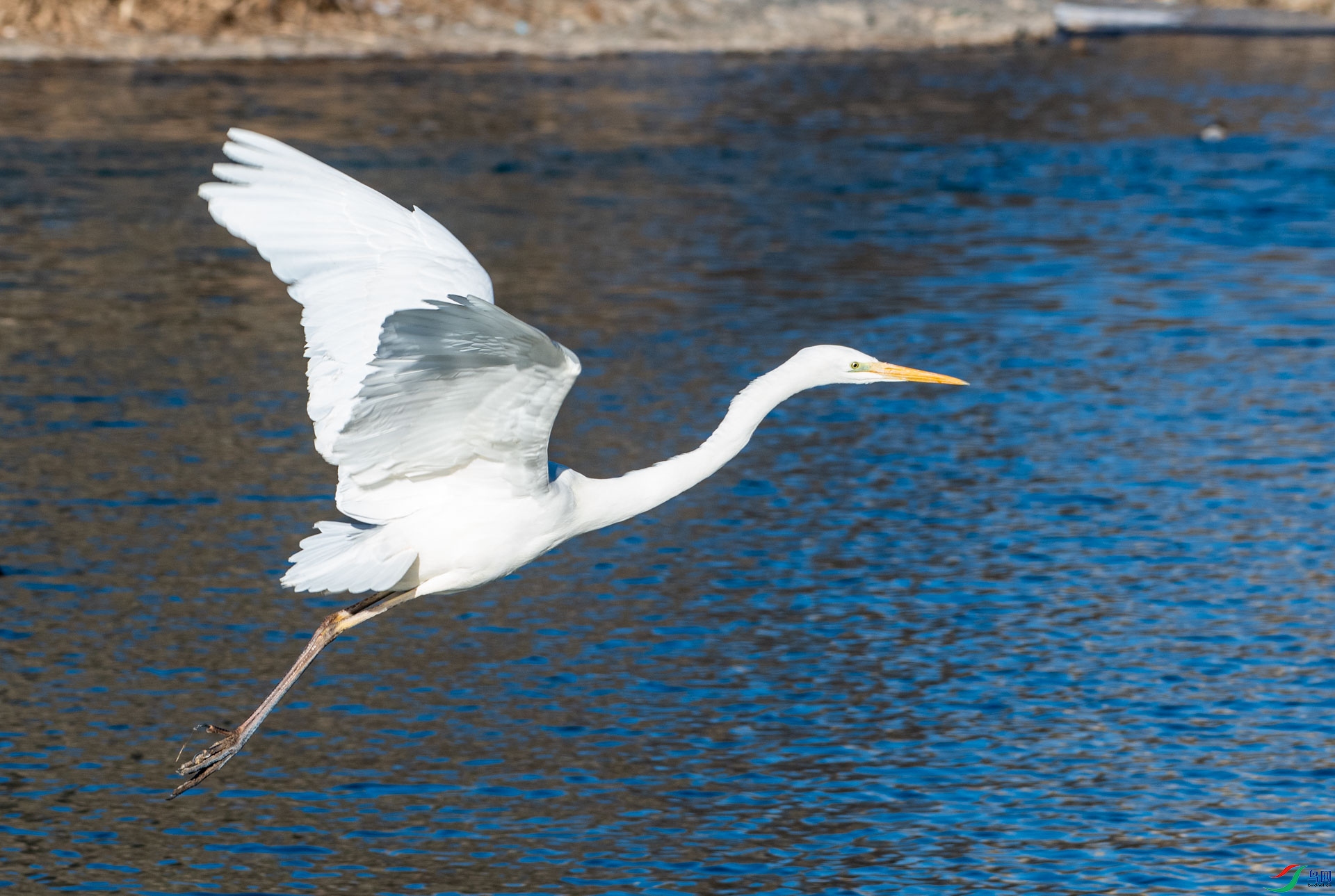 DSC_4001.jpg
