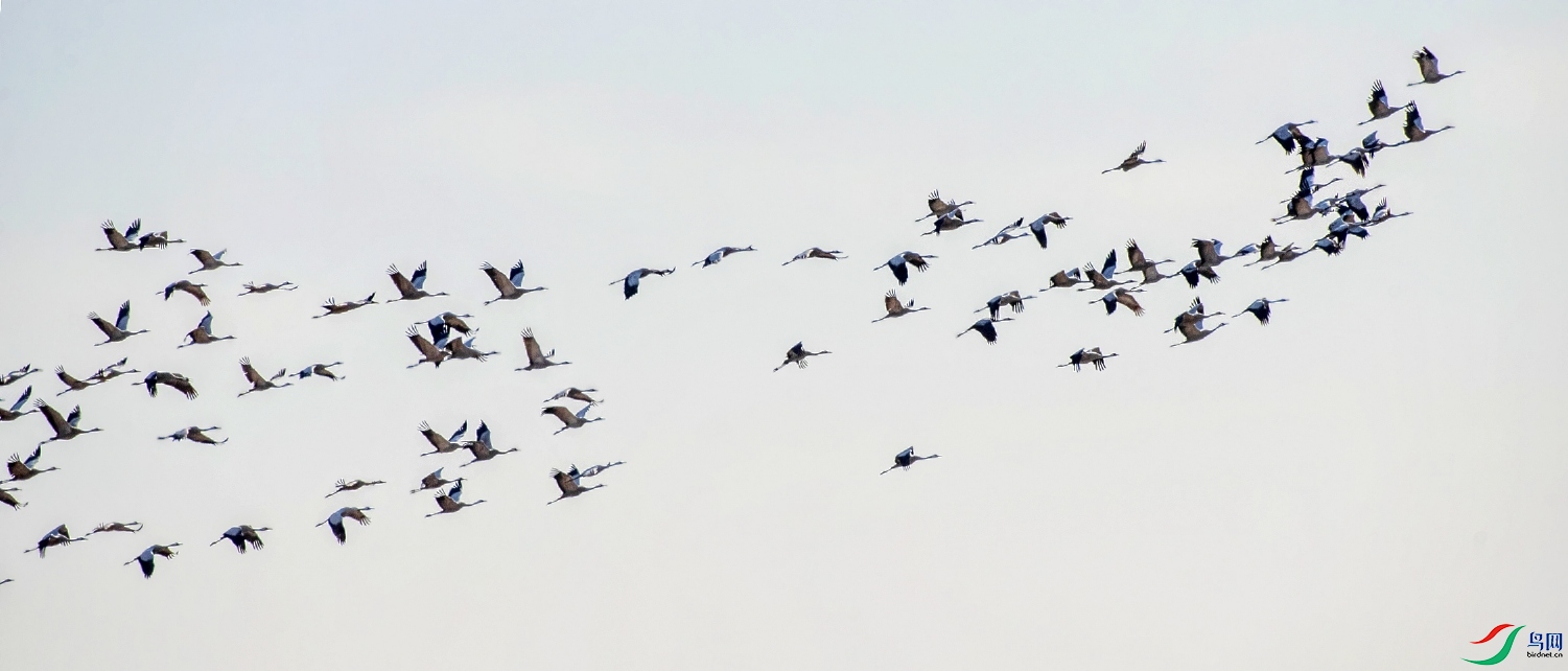 DSC_0298---_conew1.jpg