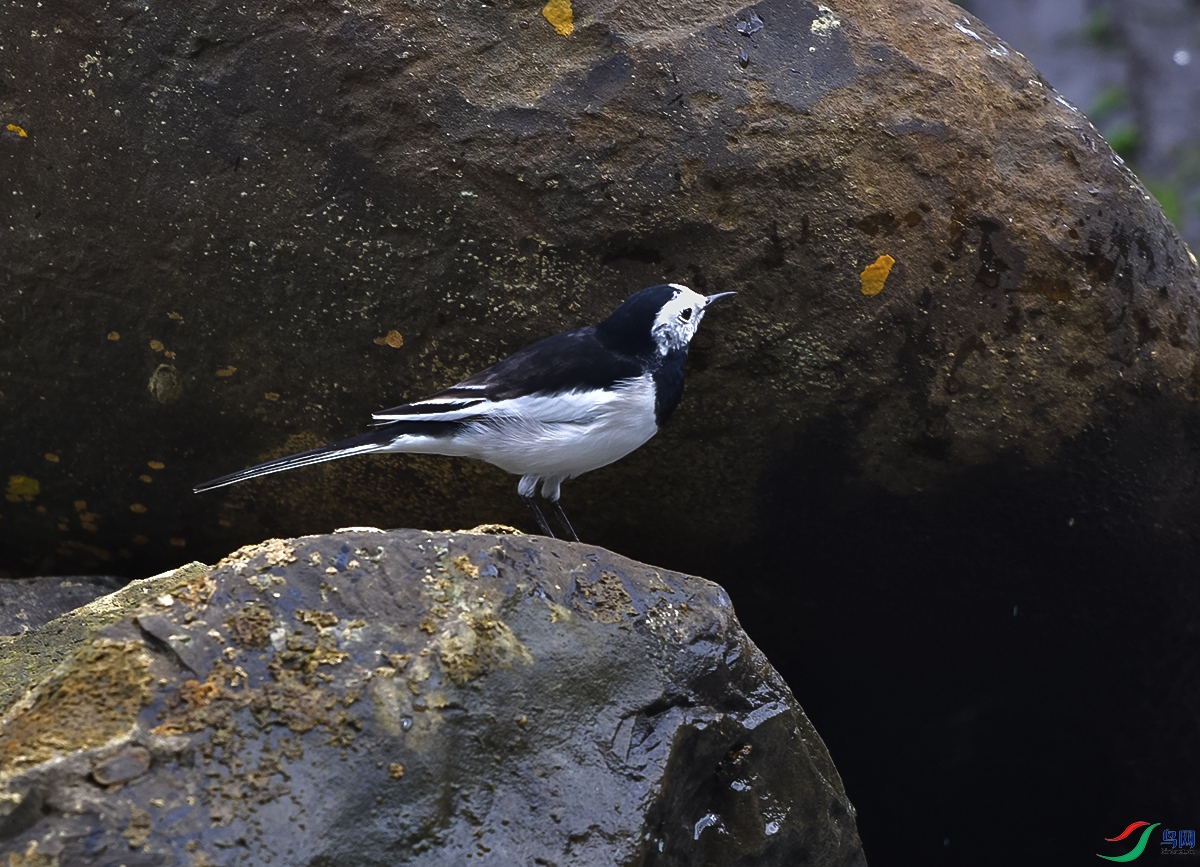DSC_0846.JPG