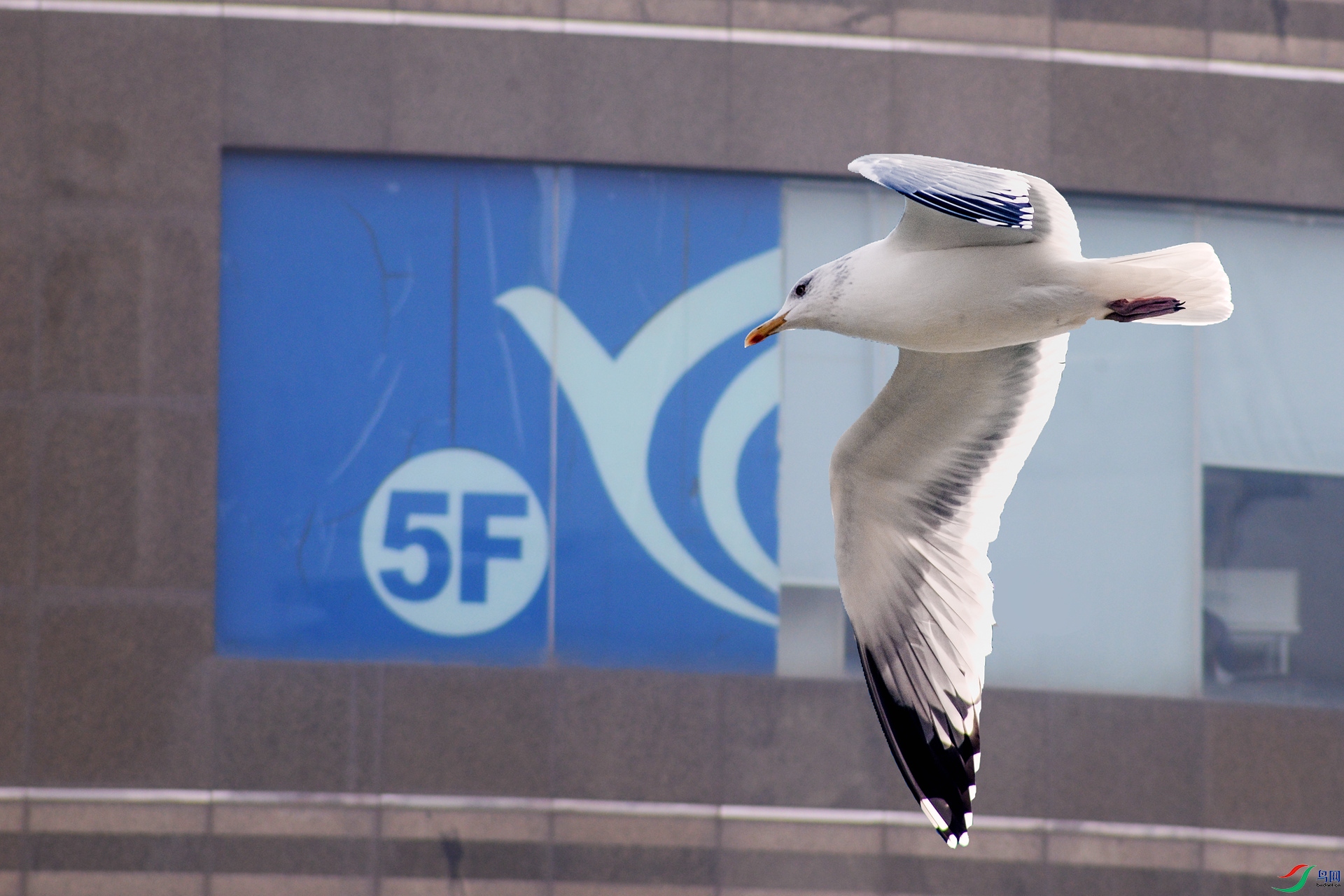 DSC_3784_����.jpg