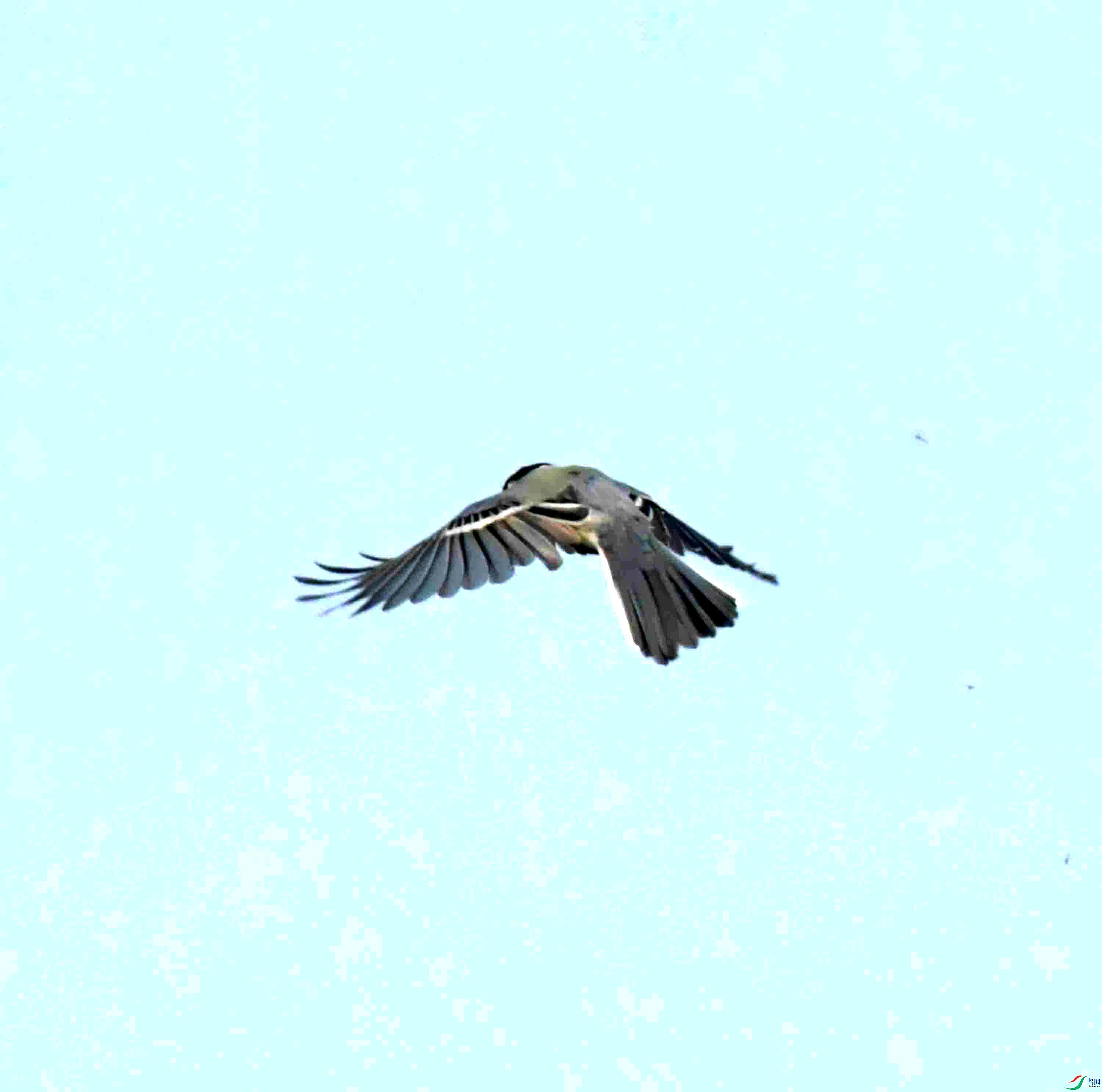 DSC_0897.JPG
