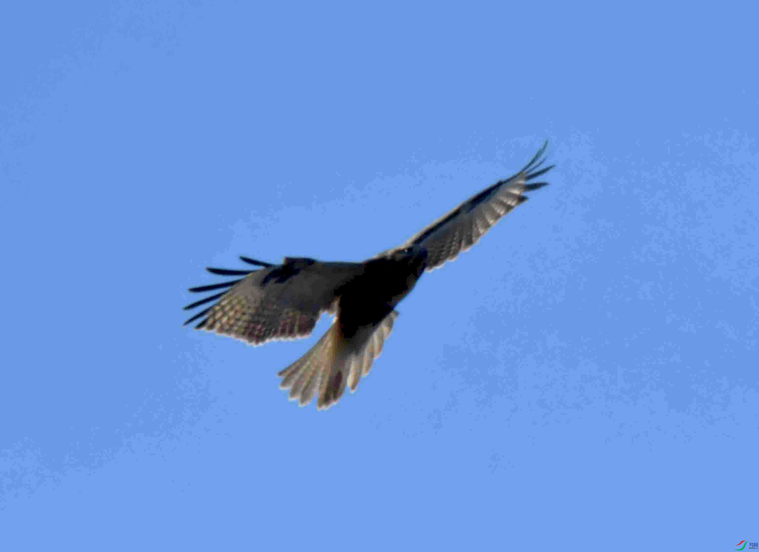 DSC_5306.JPG
