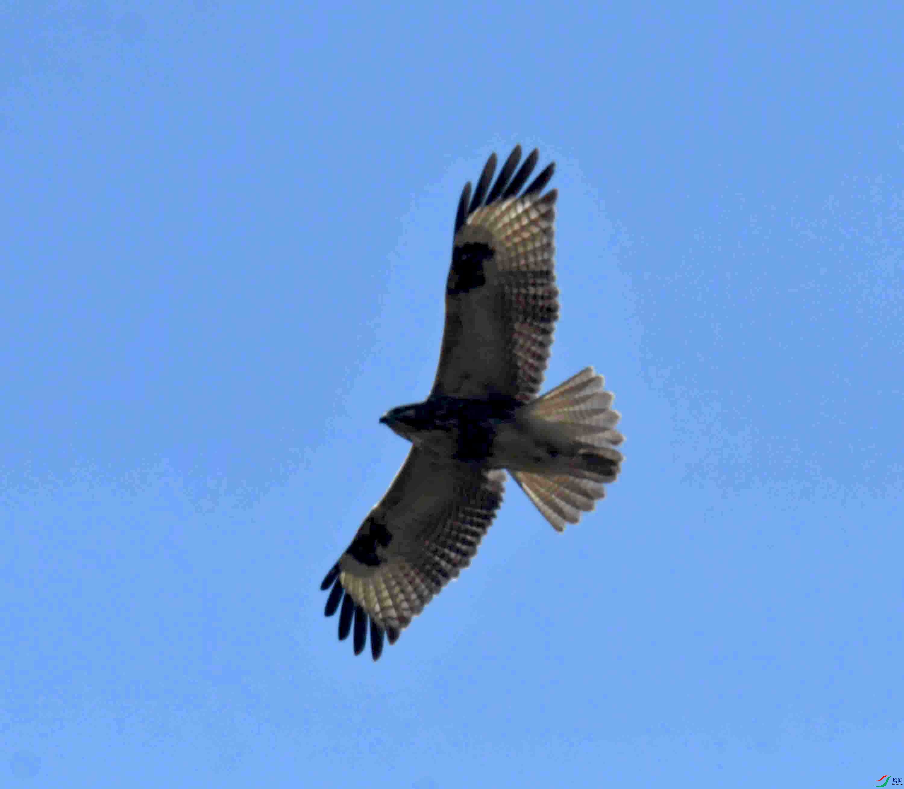 DSC_5311.JPG