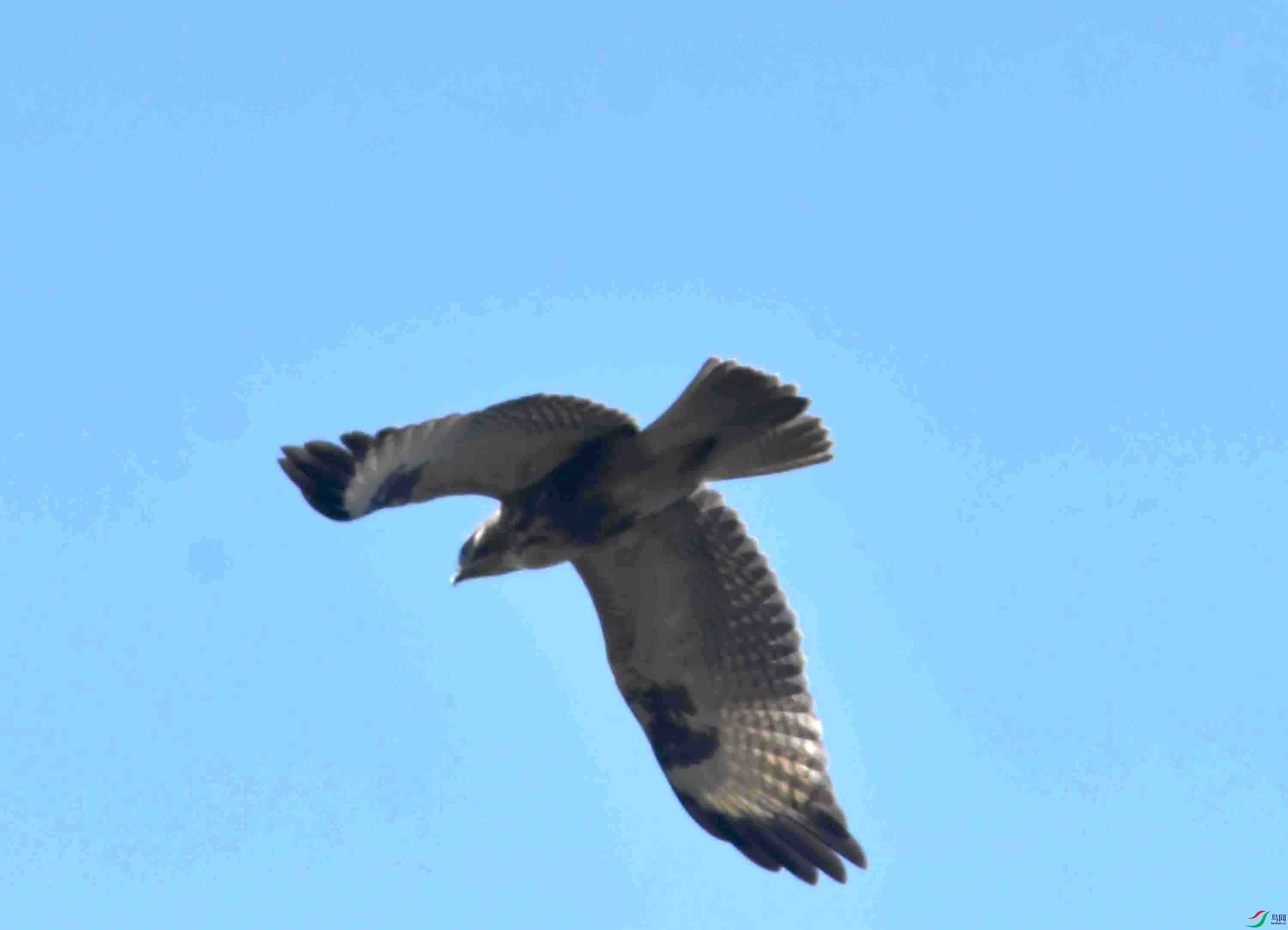 DSC_5318.JPG