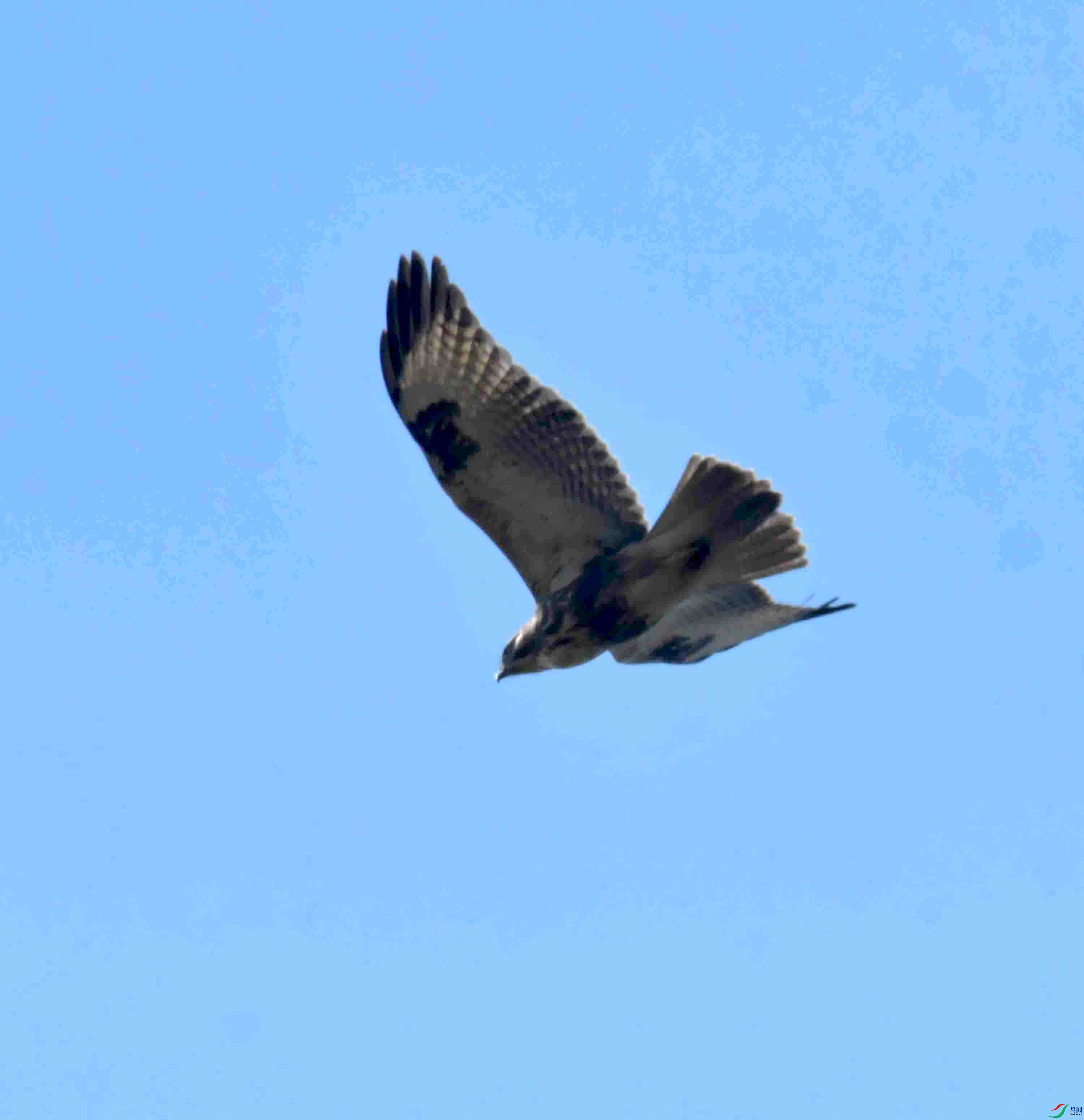 DSC_5317.JPG