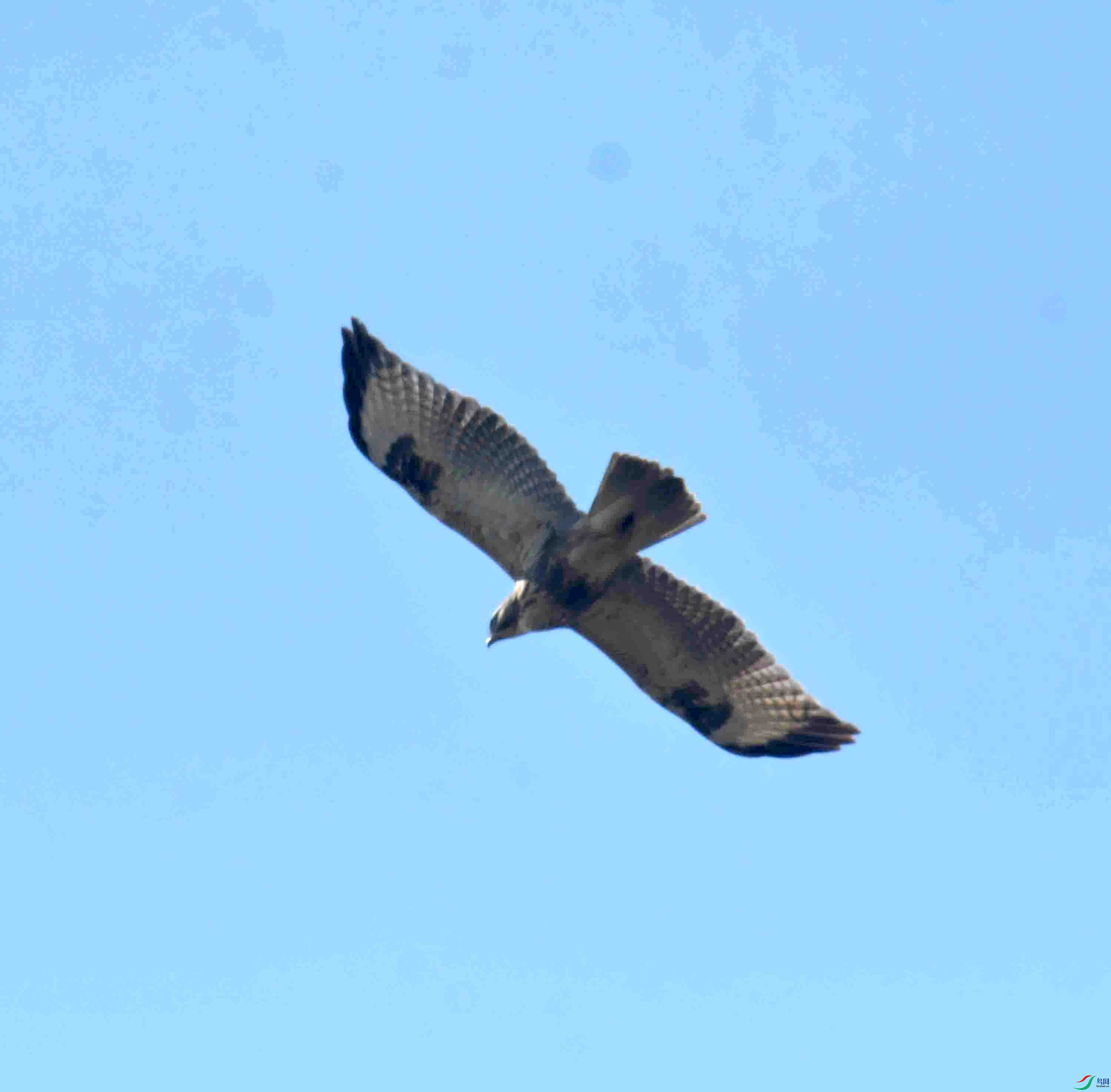 DSC_5319.JPG