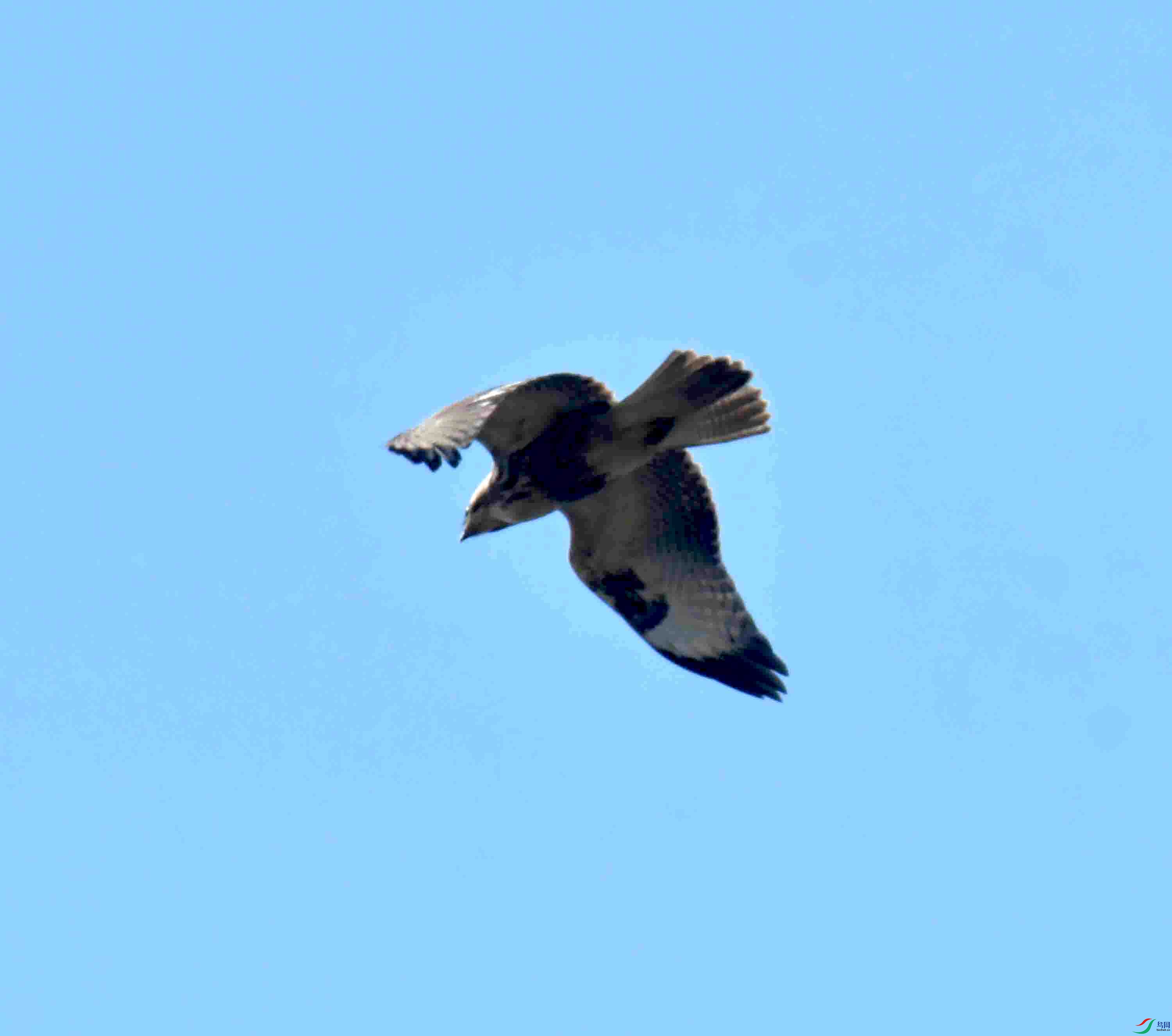 DSC_5316.JPG
