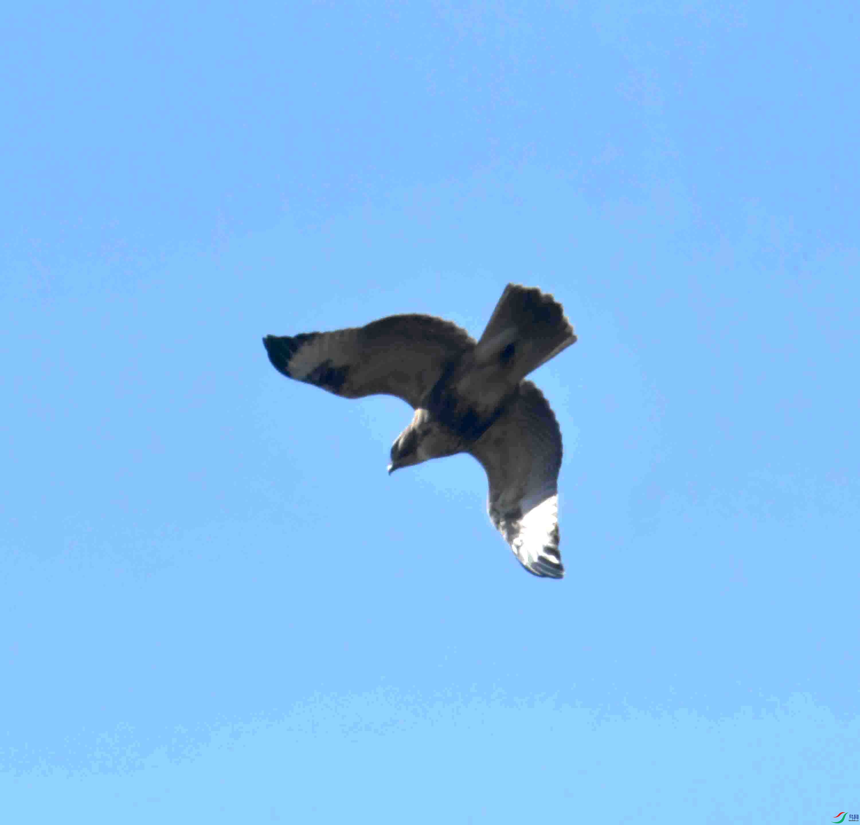 DSC_5320.JPG