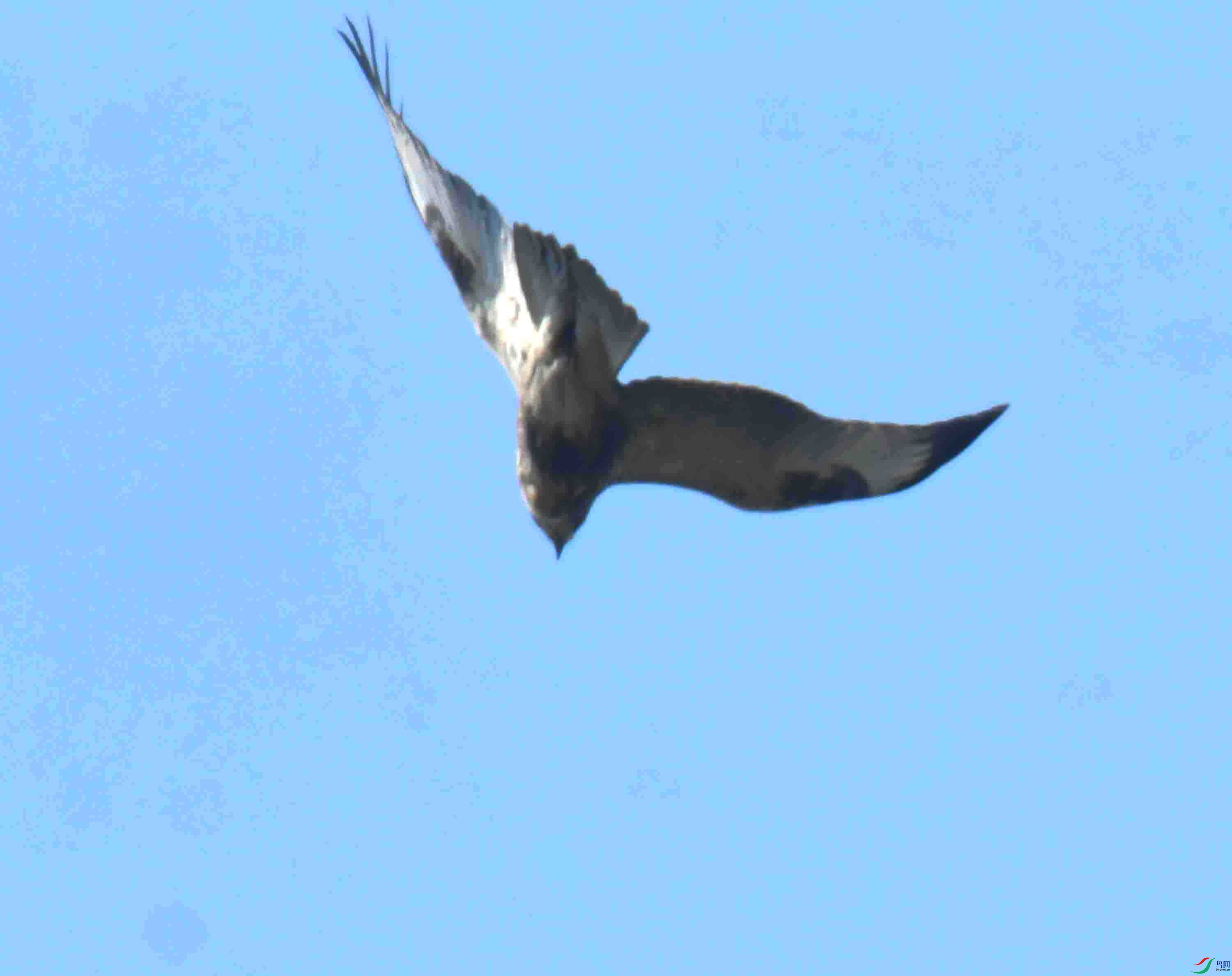 DSC_5323.JPG