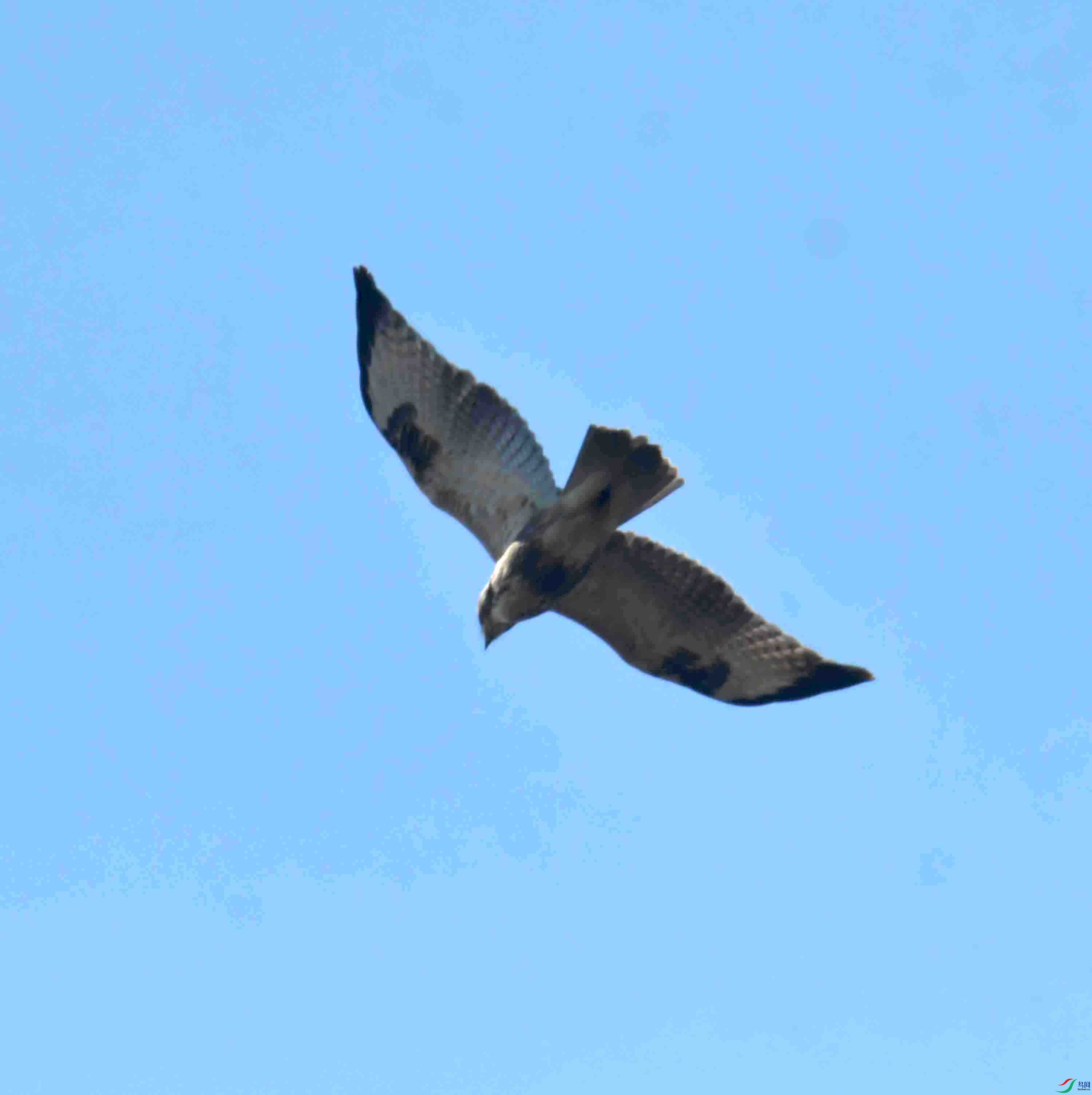 DSC_5321.JPG