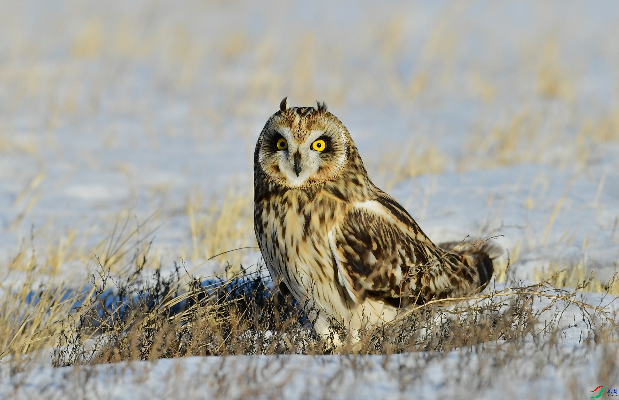 WZL_5608.jpg