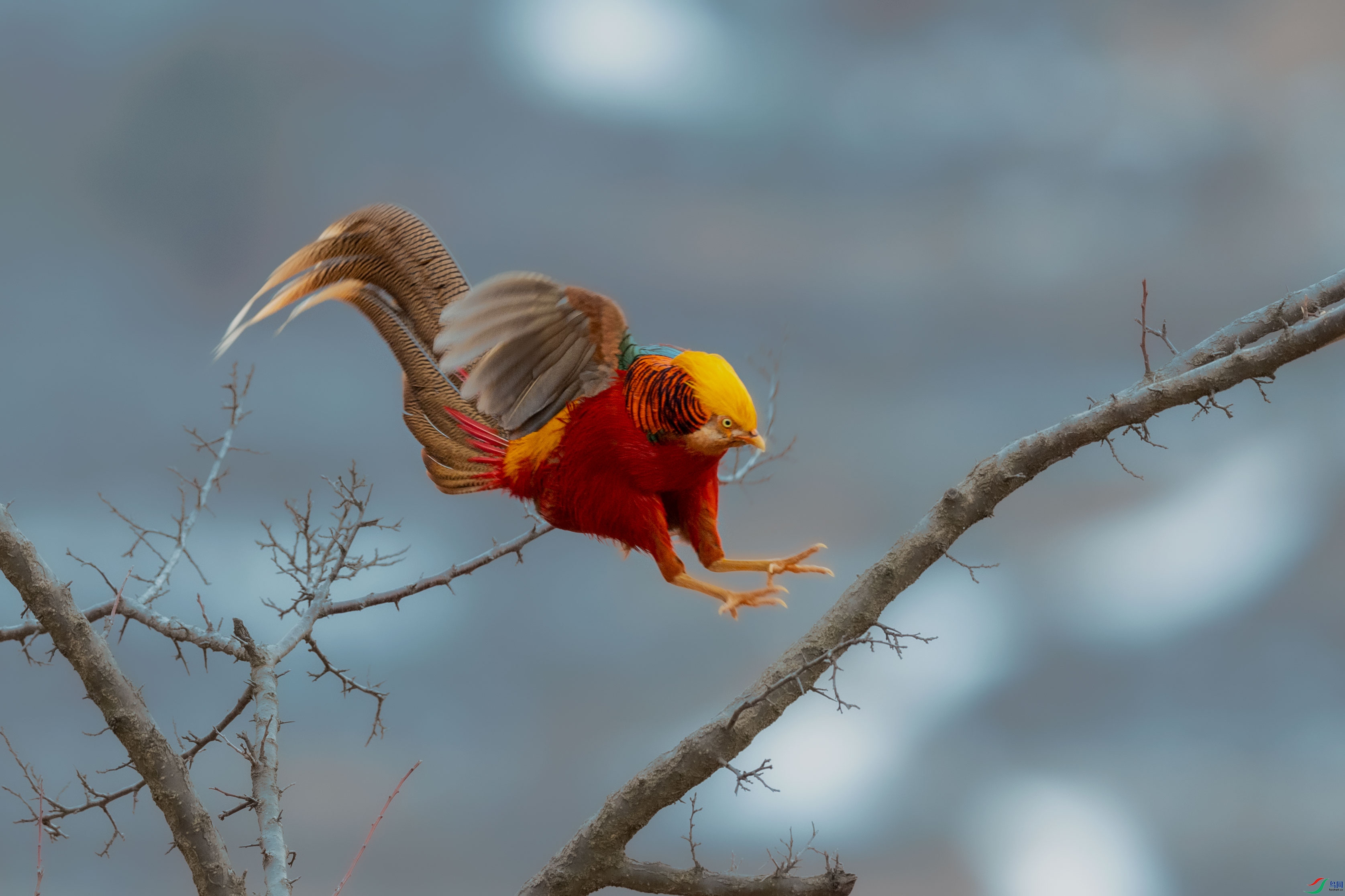 AAE_7086-5.jpg